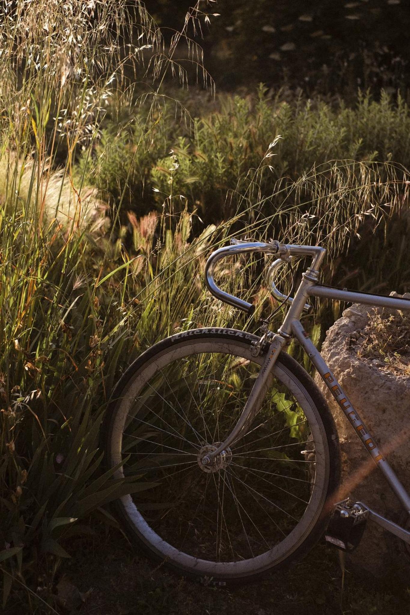 Le Galinier Lourmarin, a Beaumier Guesthouse