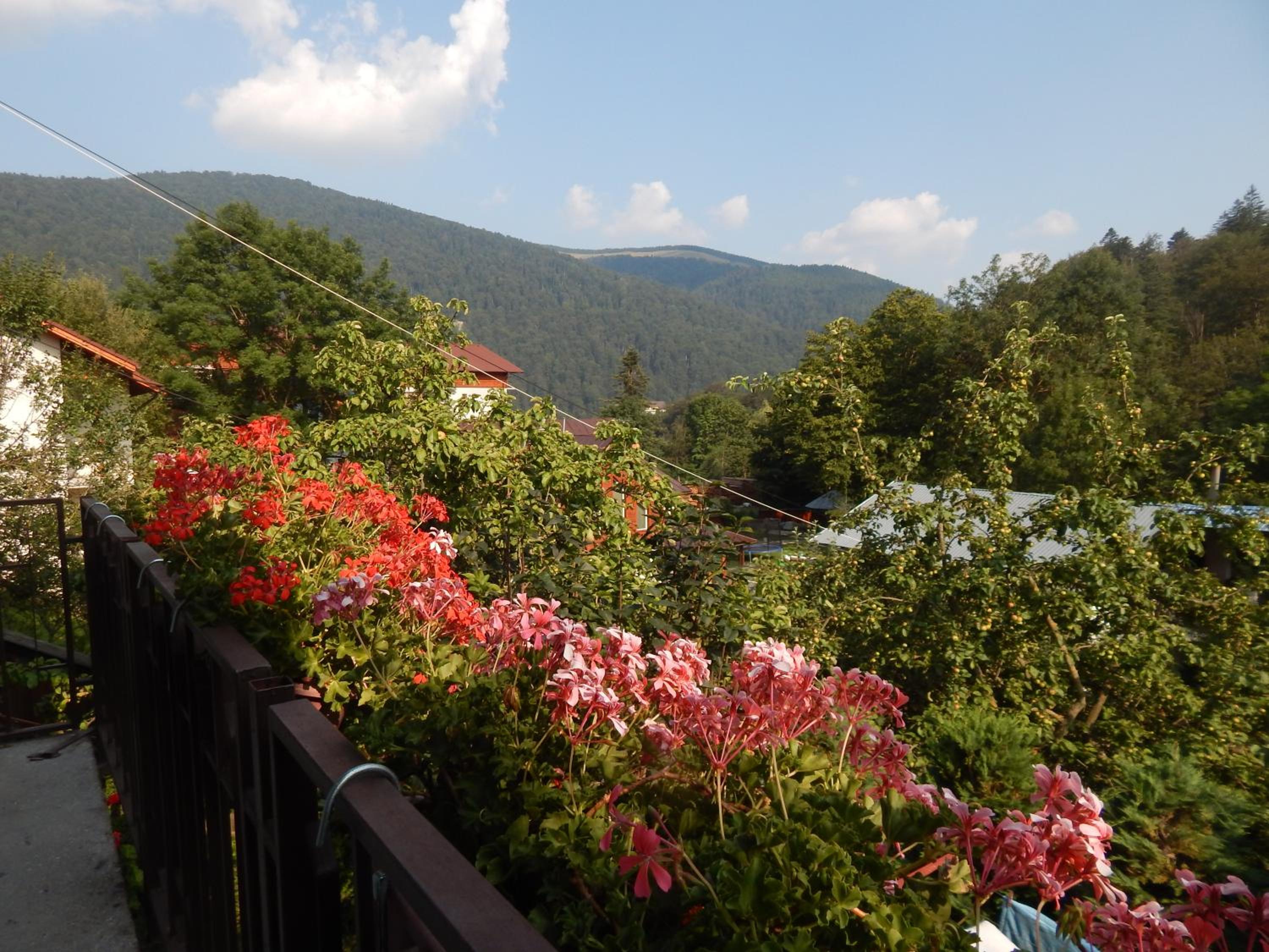 Casa David view 5