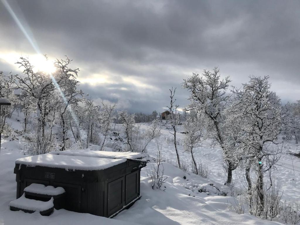 Spacious modern family chalet in Solhovda close to hiking, skiing & nature