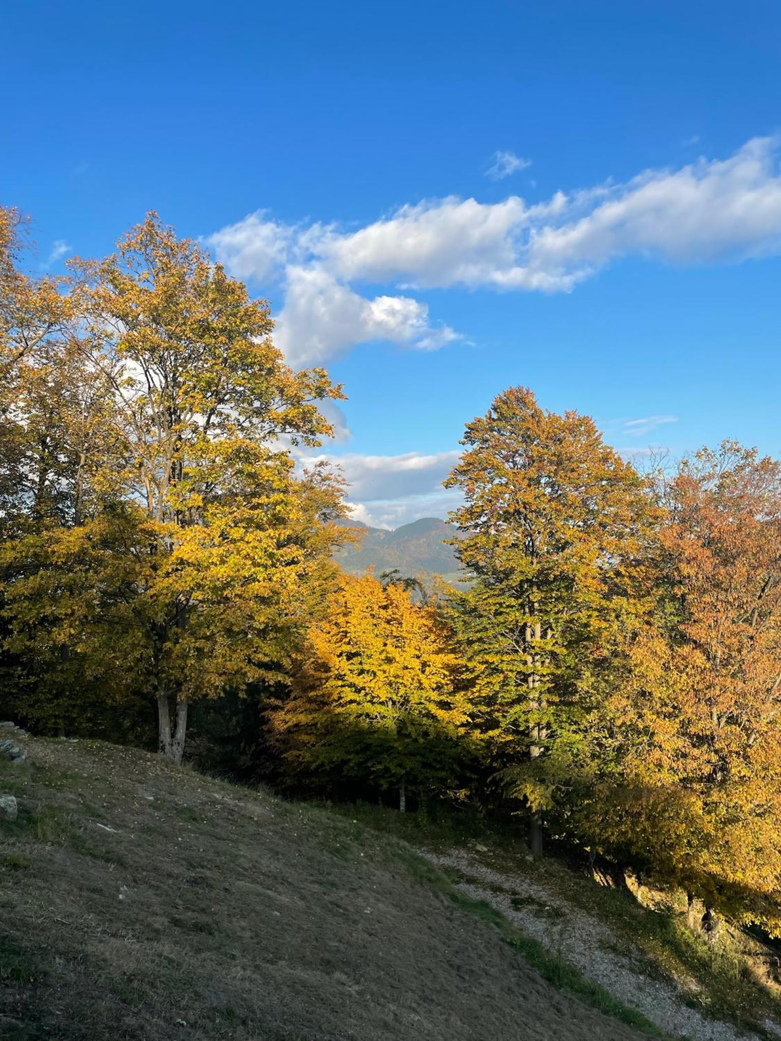 Sedmakovo - Počitniška hiša v naravi - Ljubno ob Savinji