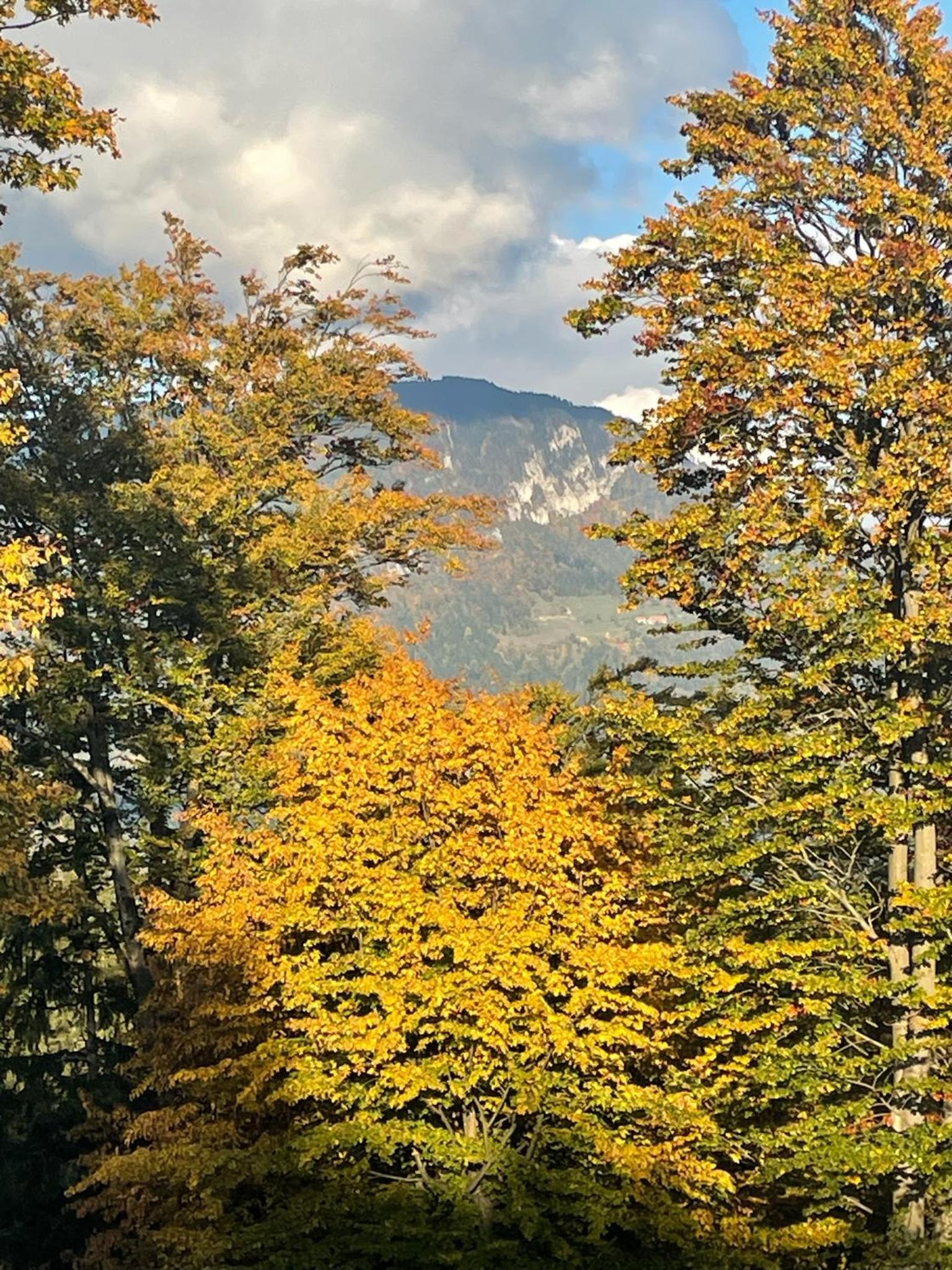 Sedmakovo - Počitniška hiša v naravi - Ljubno ob Savinji
