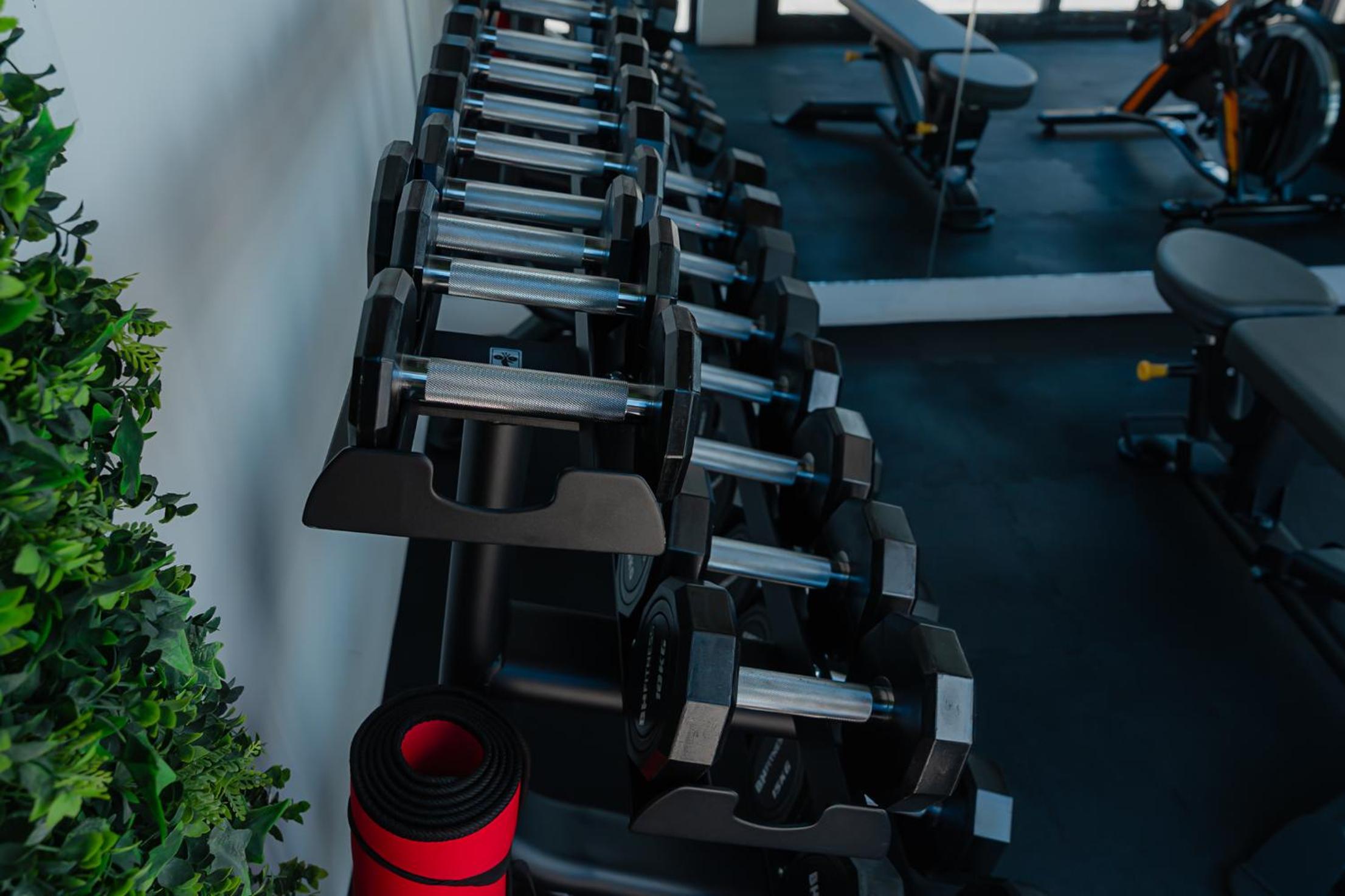 New Luxury Studio in the City Center