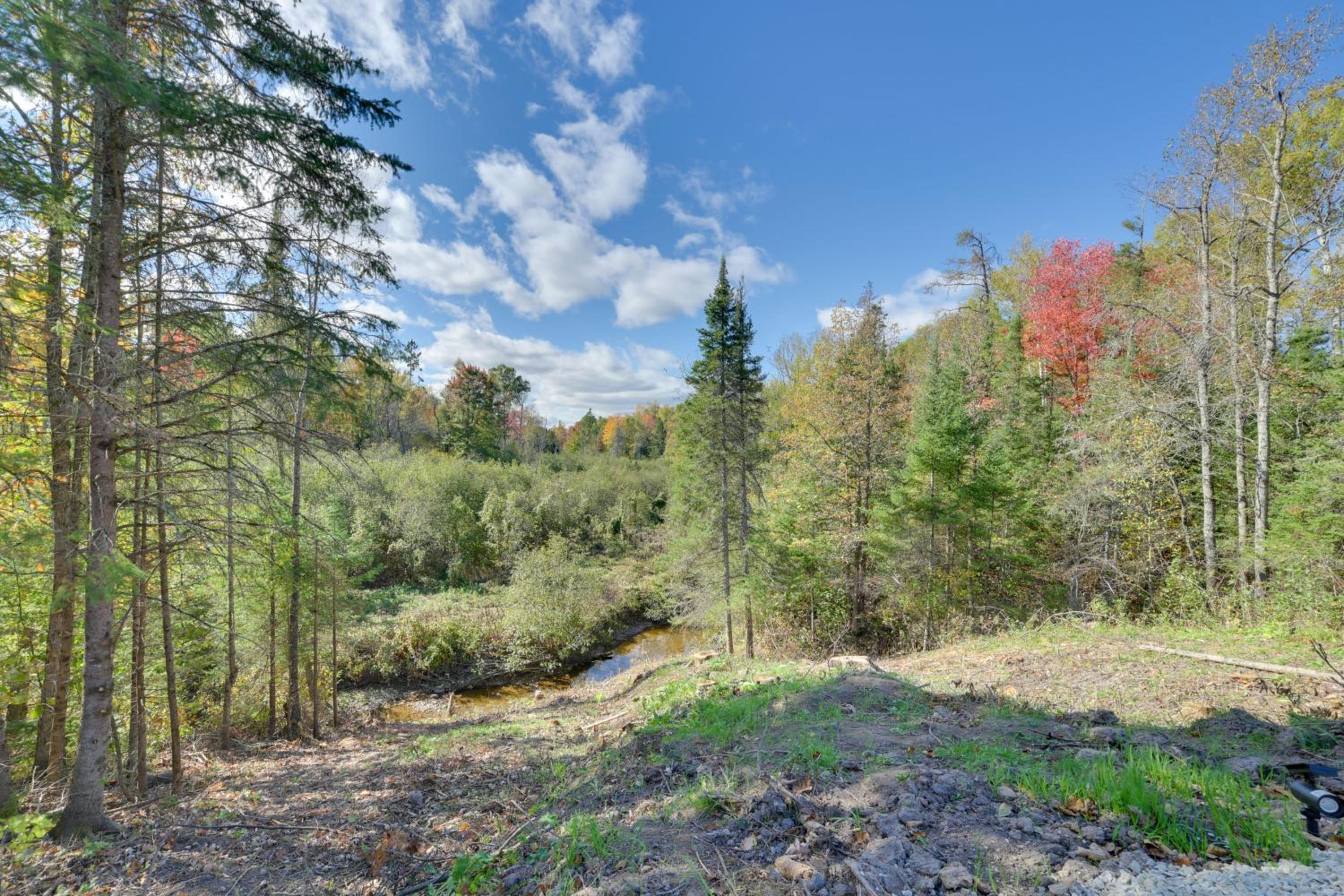 Pet Friendly Chub Creek Cabin Hunt, Hike and Fish!