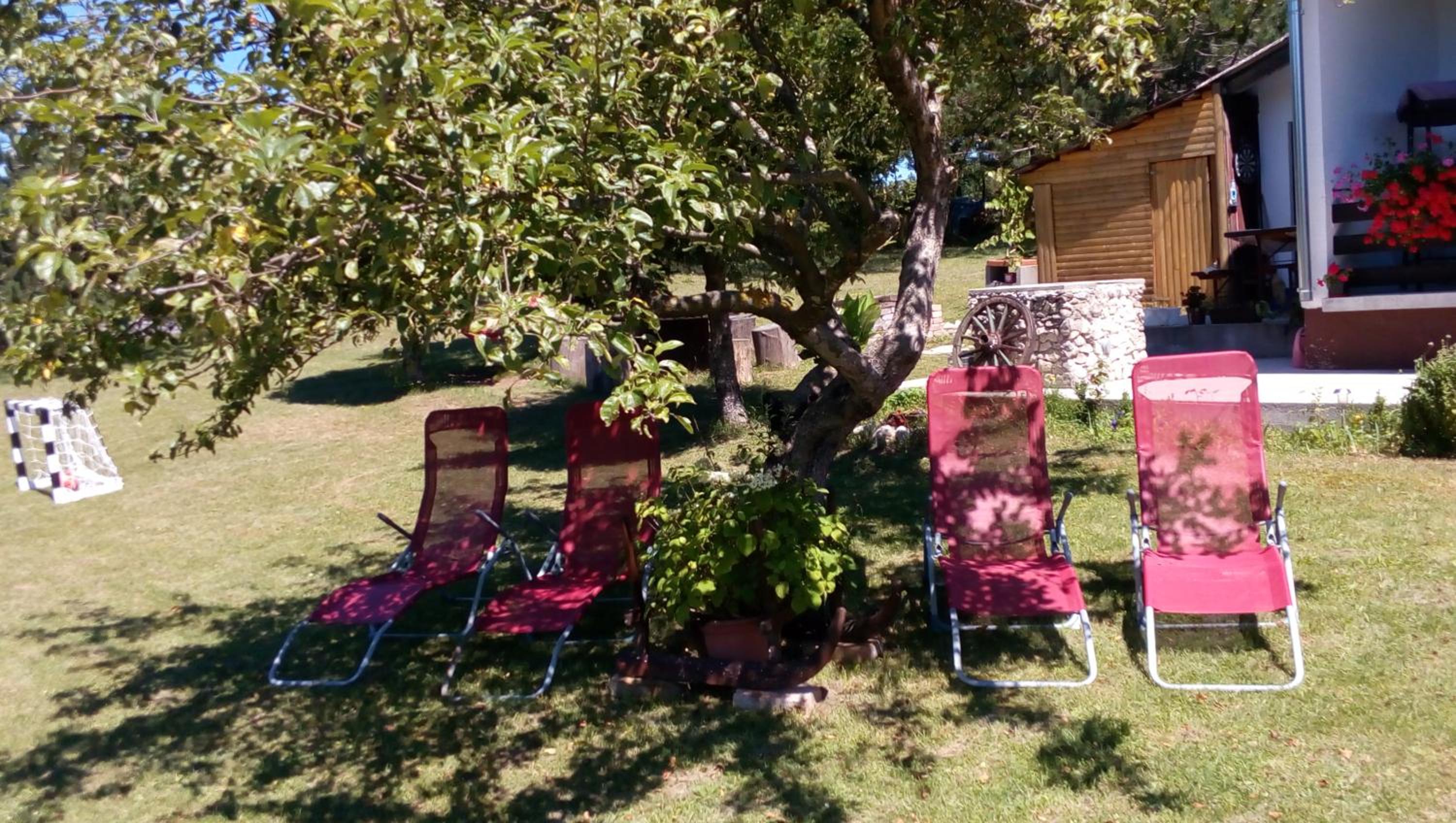 Photo 41