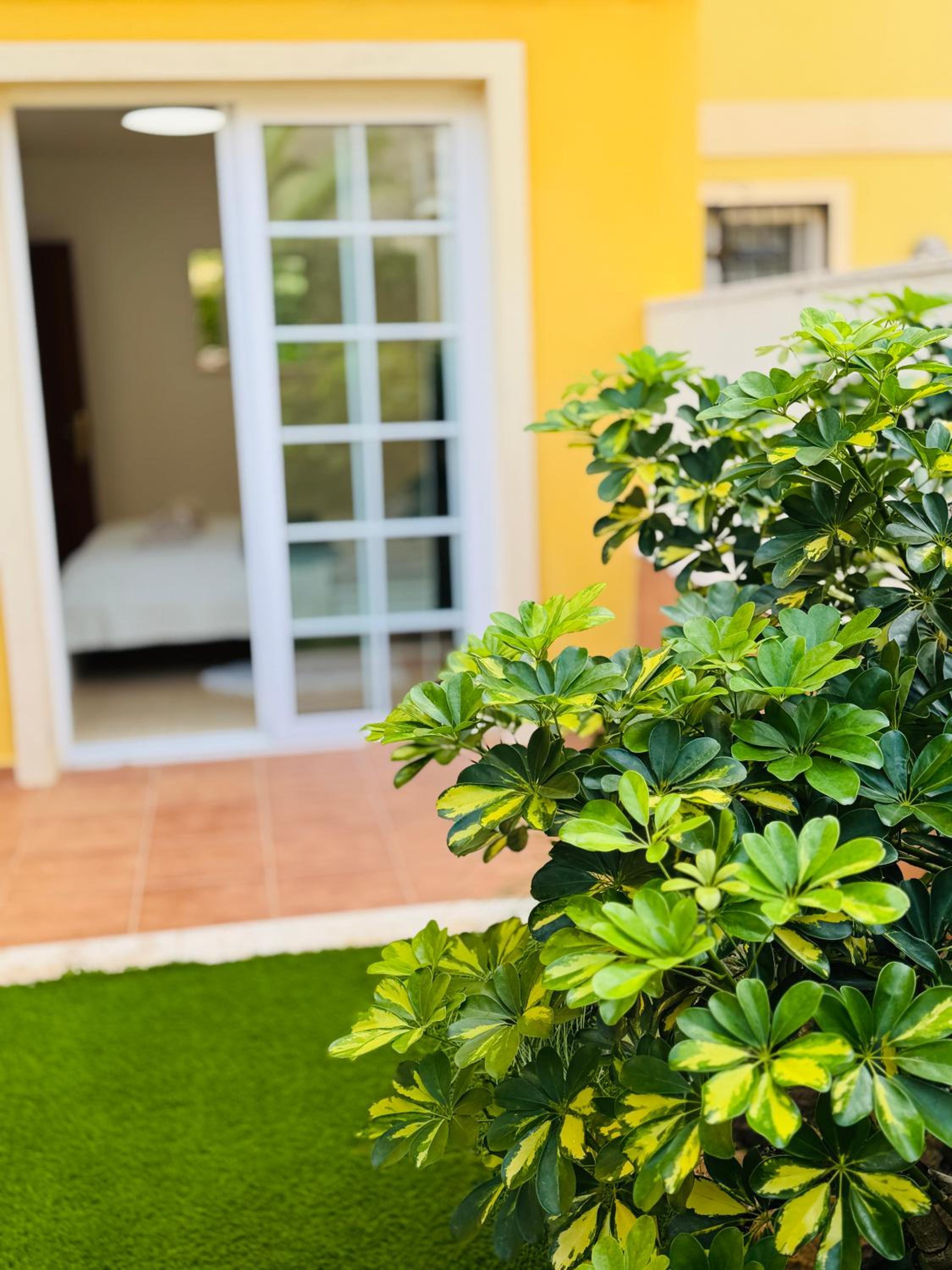 Bright Retreat with Lush Outdoor Space
