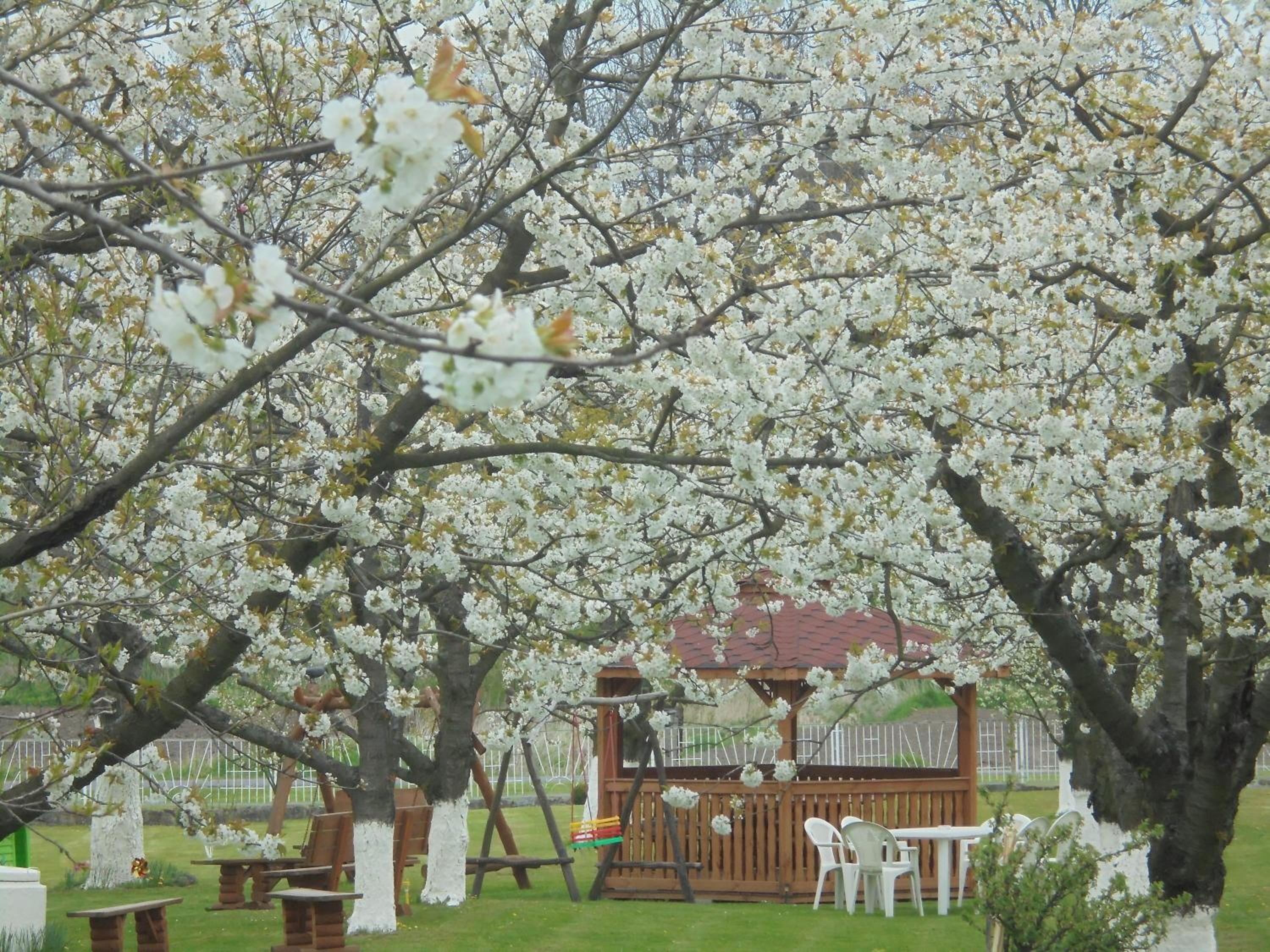 Agroturystyka Krysia Pilszcz view 5