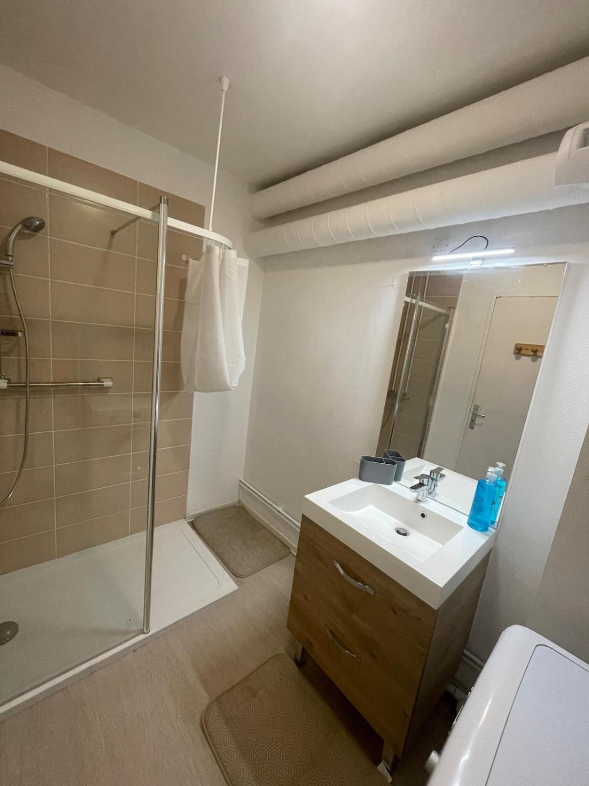 Appartement prés du Lac du Héron photo 4
