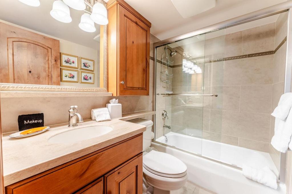 Aspen Downtown 2BR Ski Condo with Fireplace - CD 17 condo