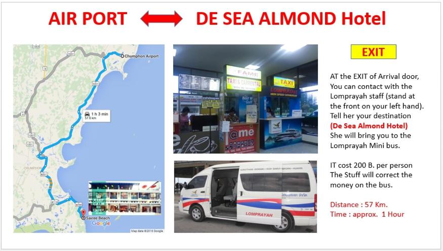 De Sea Almond