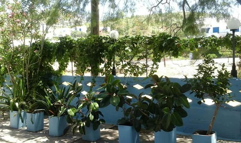 Pension Balos view 4