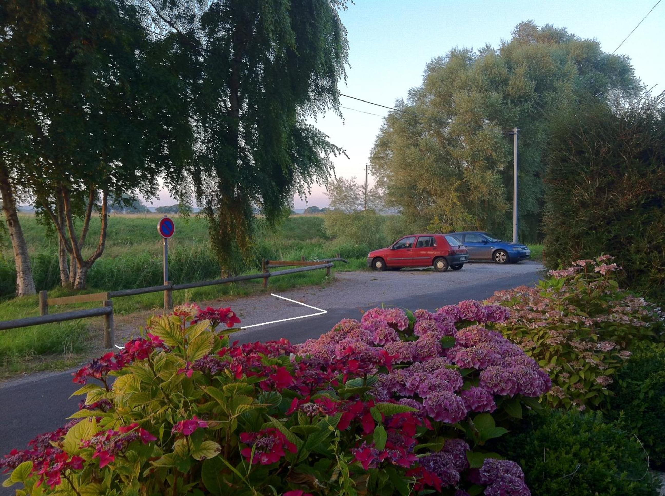 Photo 25