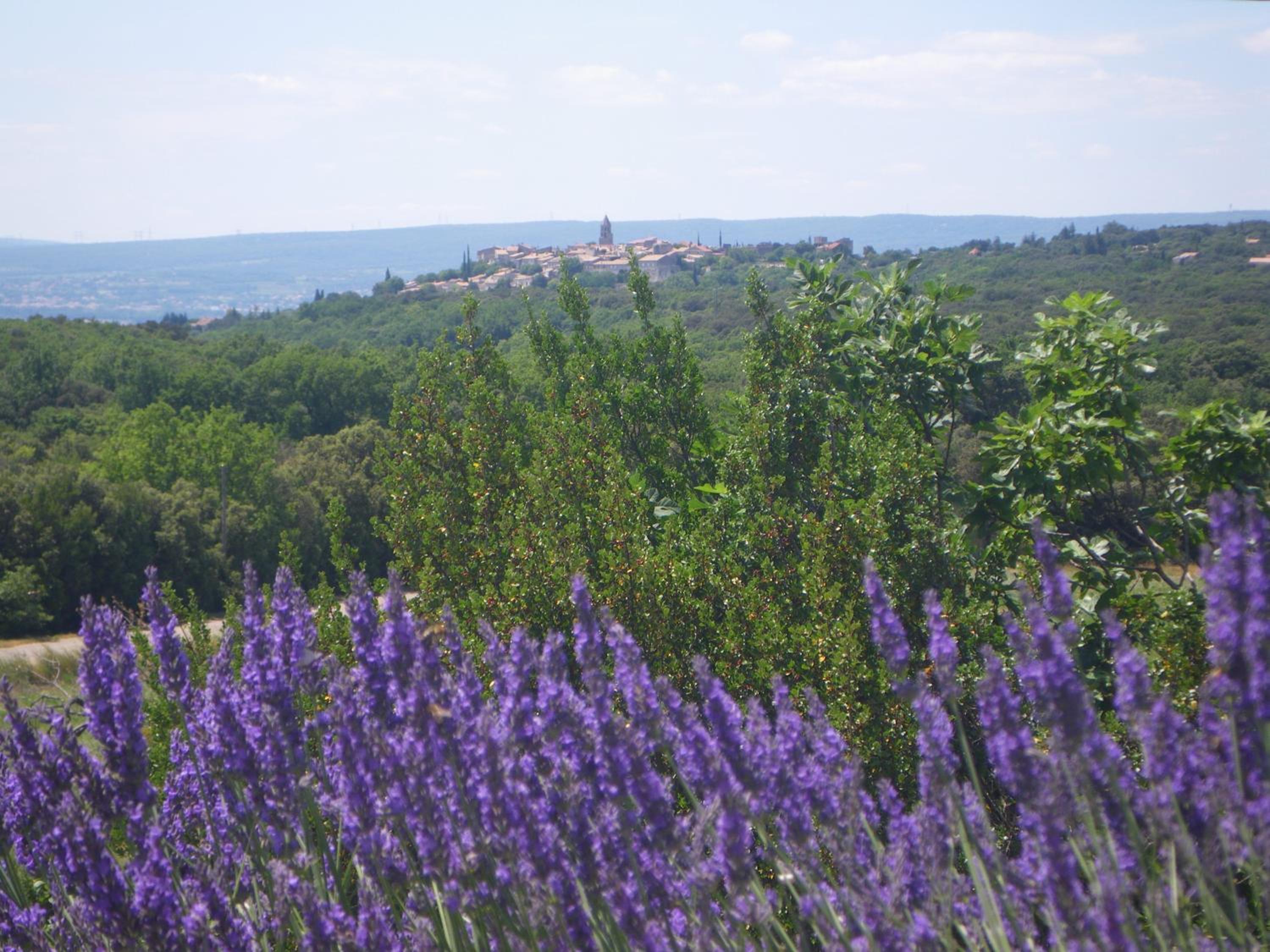 Photo 25