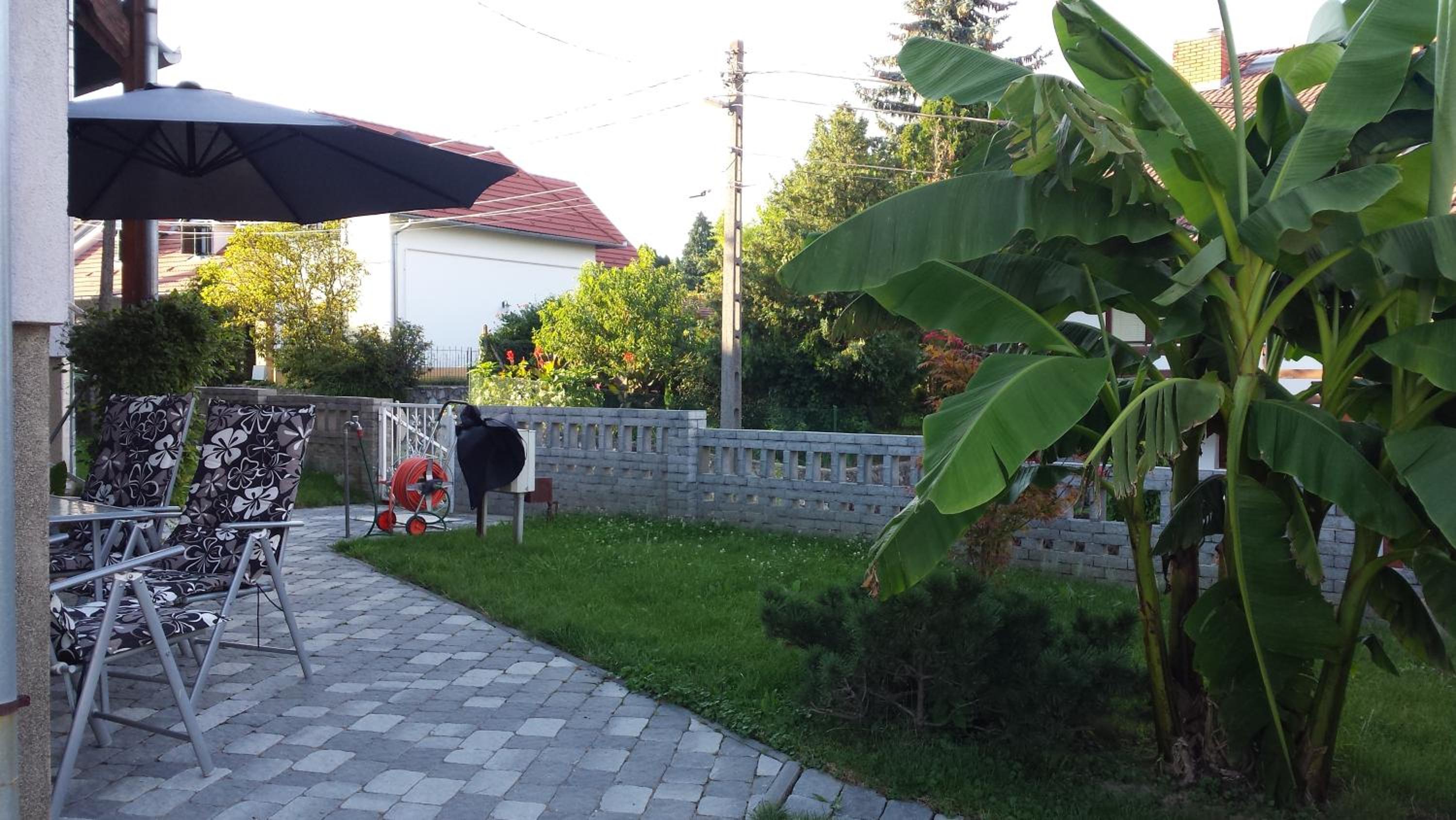 Photo 31