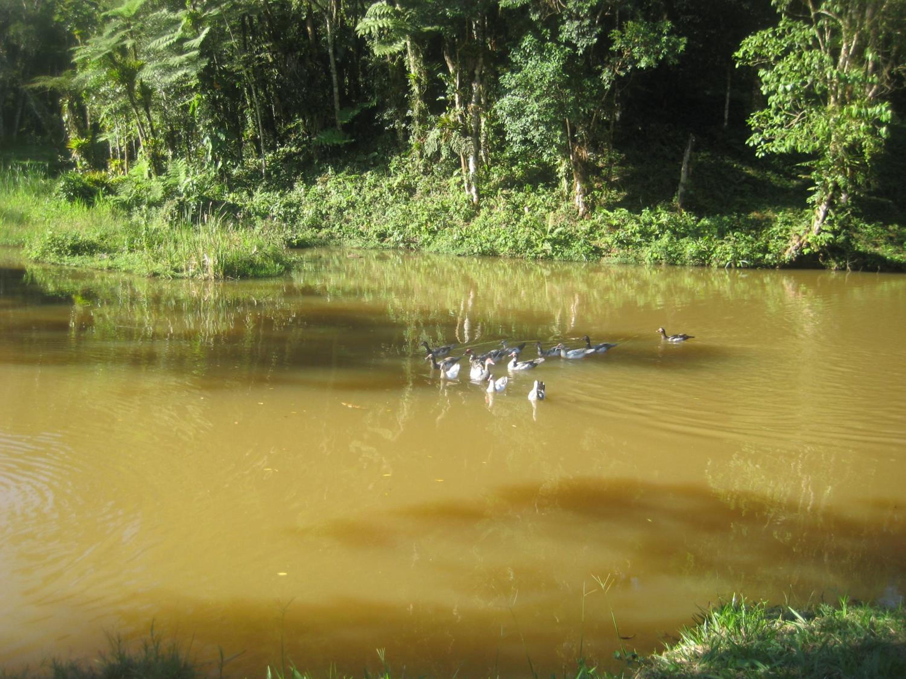 Photo 43