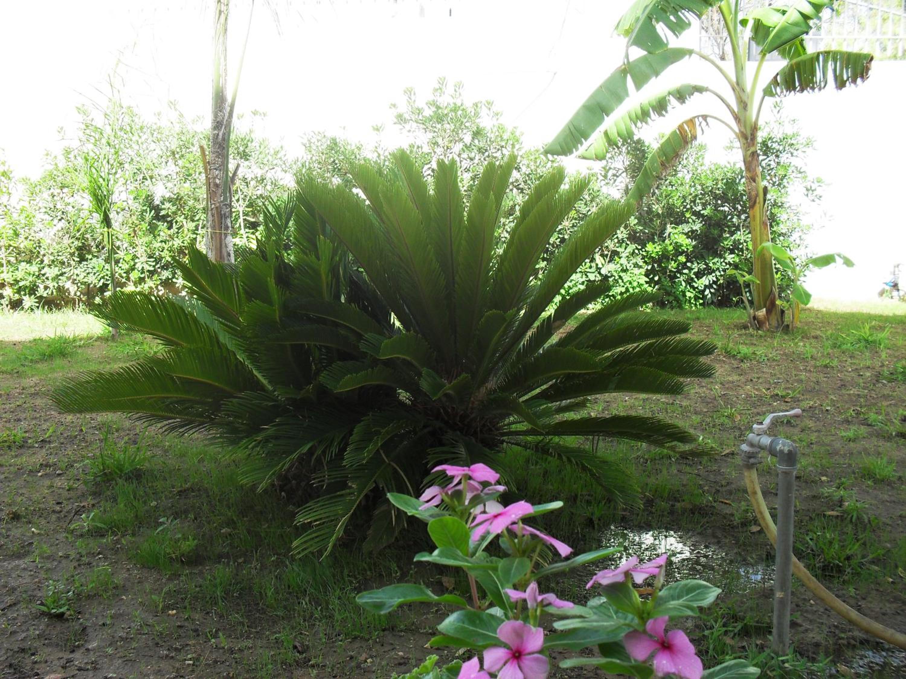 Photo 40