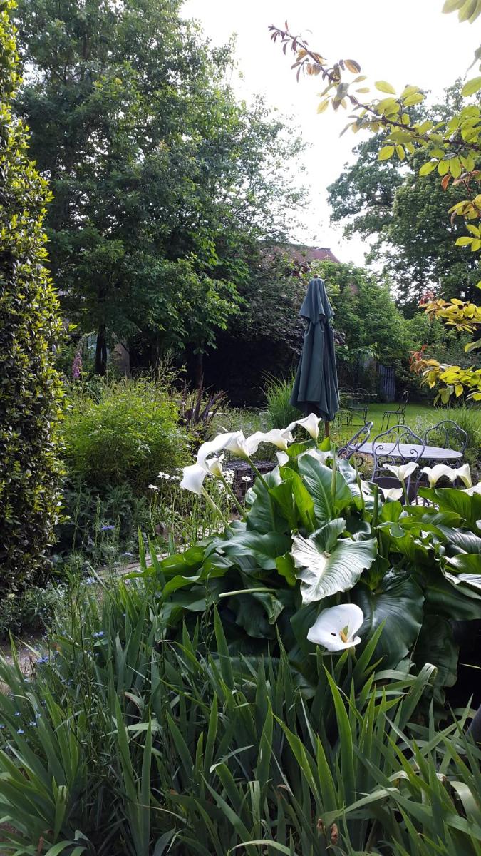 Photo 39