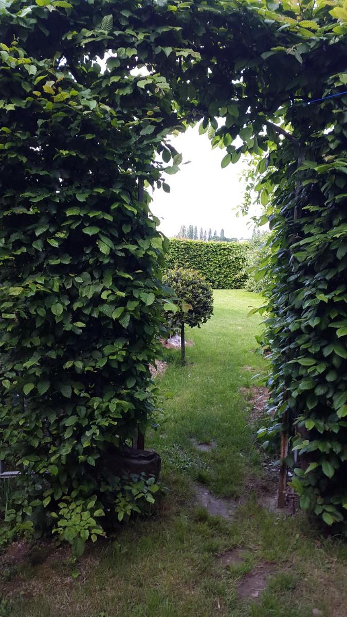Photo 38