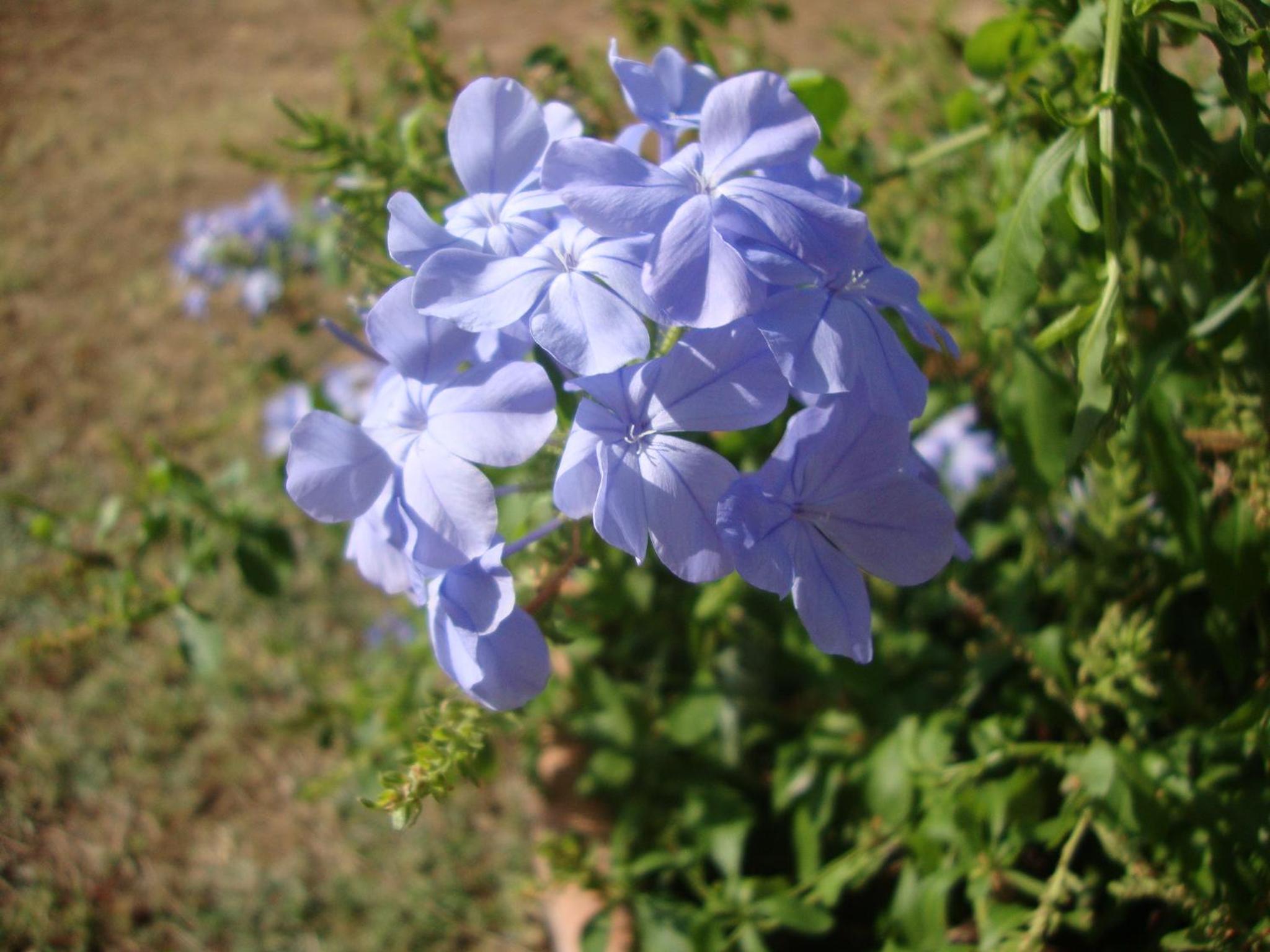Photo 22