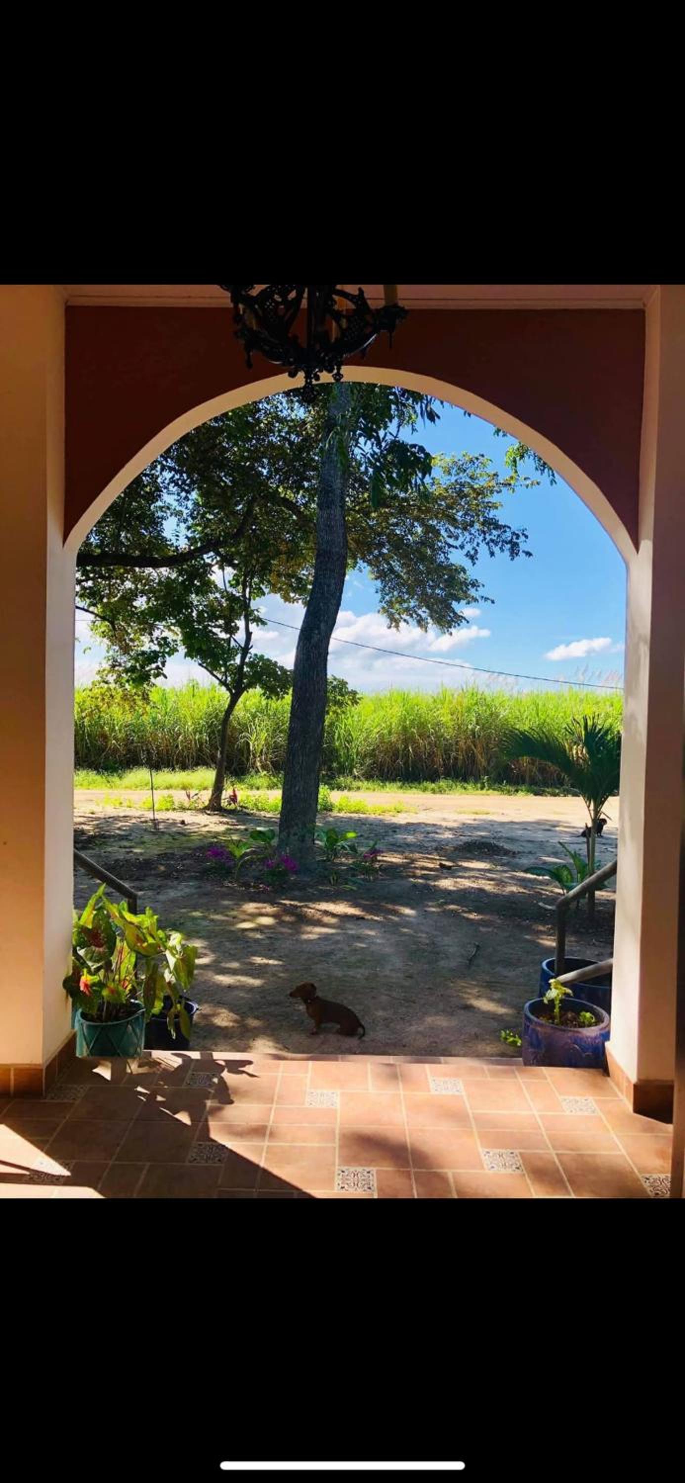 The House of Encantada