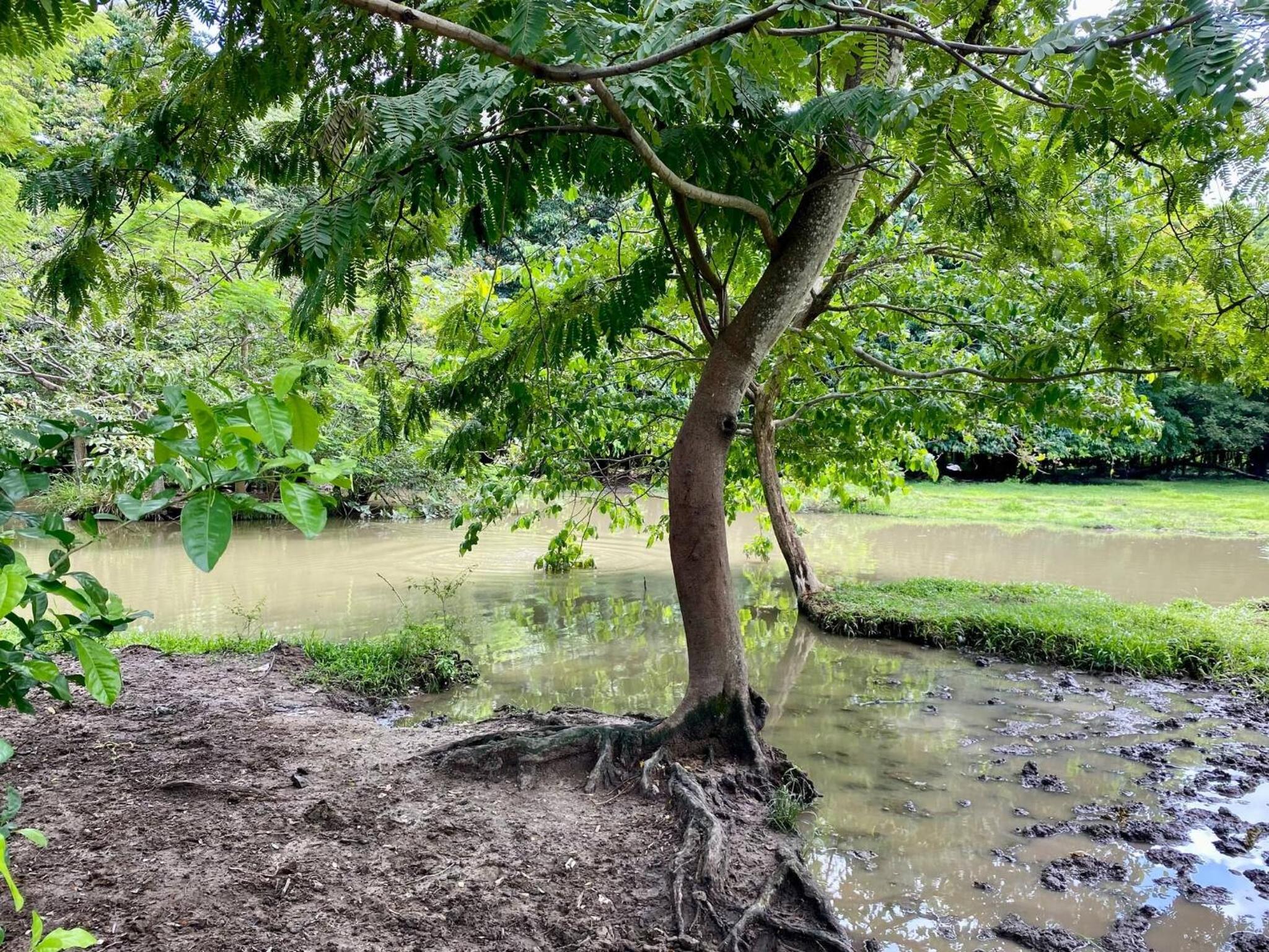 The House of Encantada