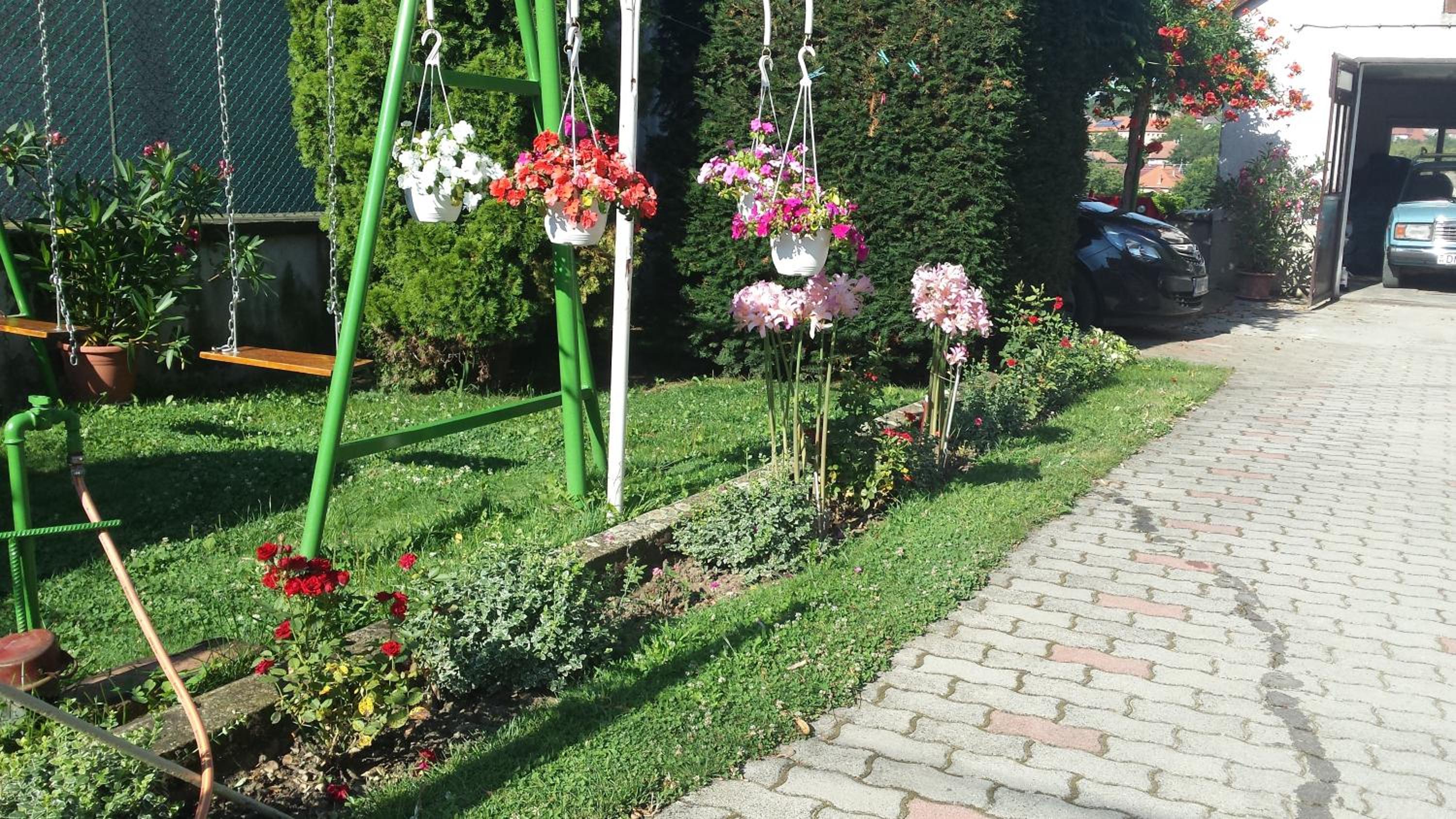 Photo 19