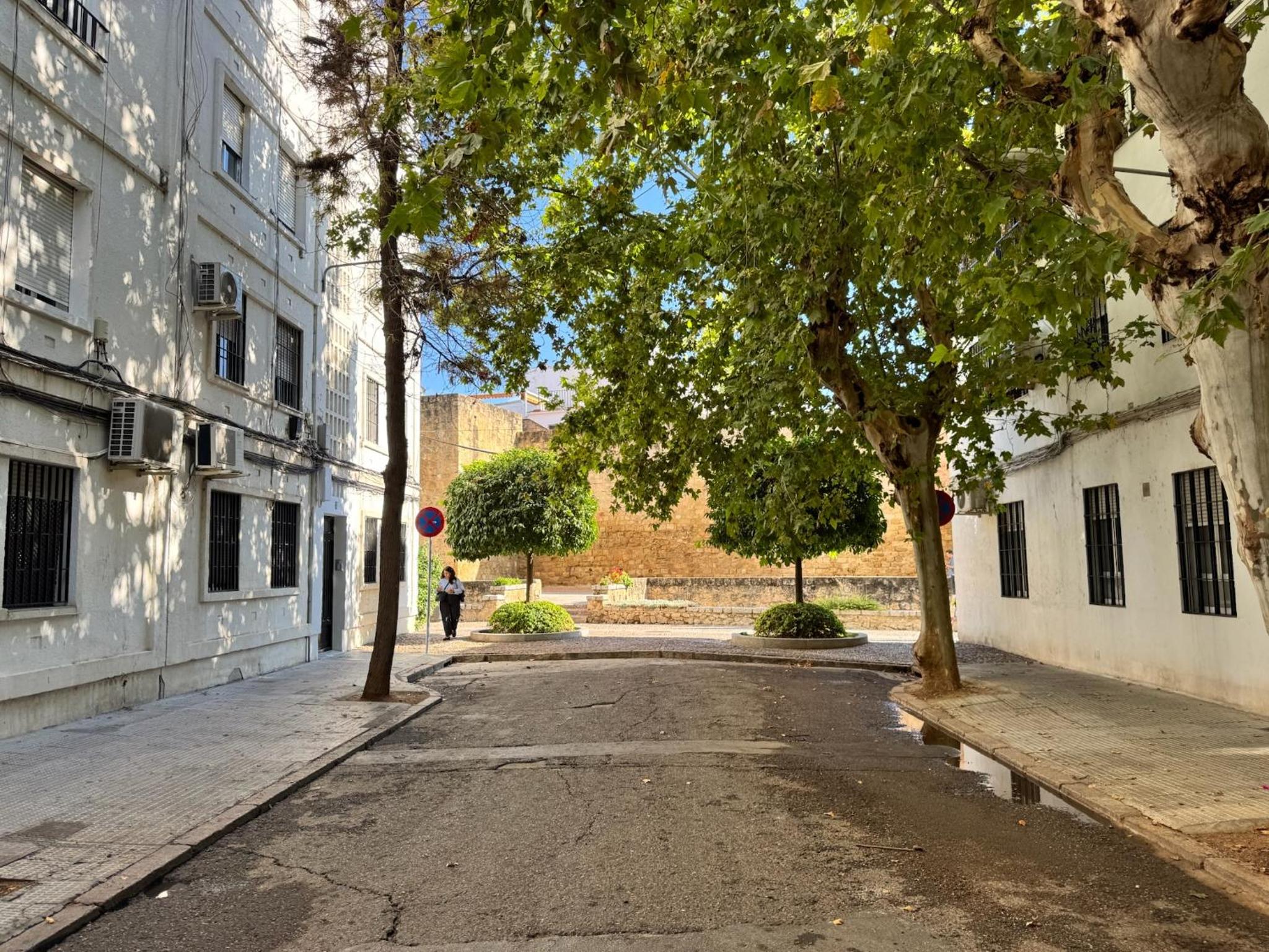 Apartamento Marquesa Valdeiglesias