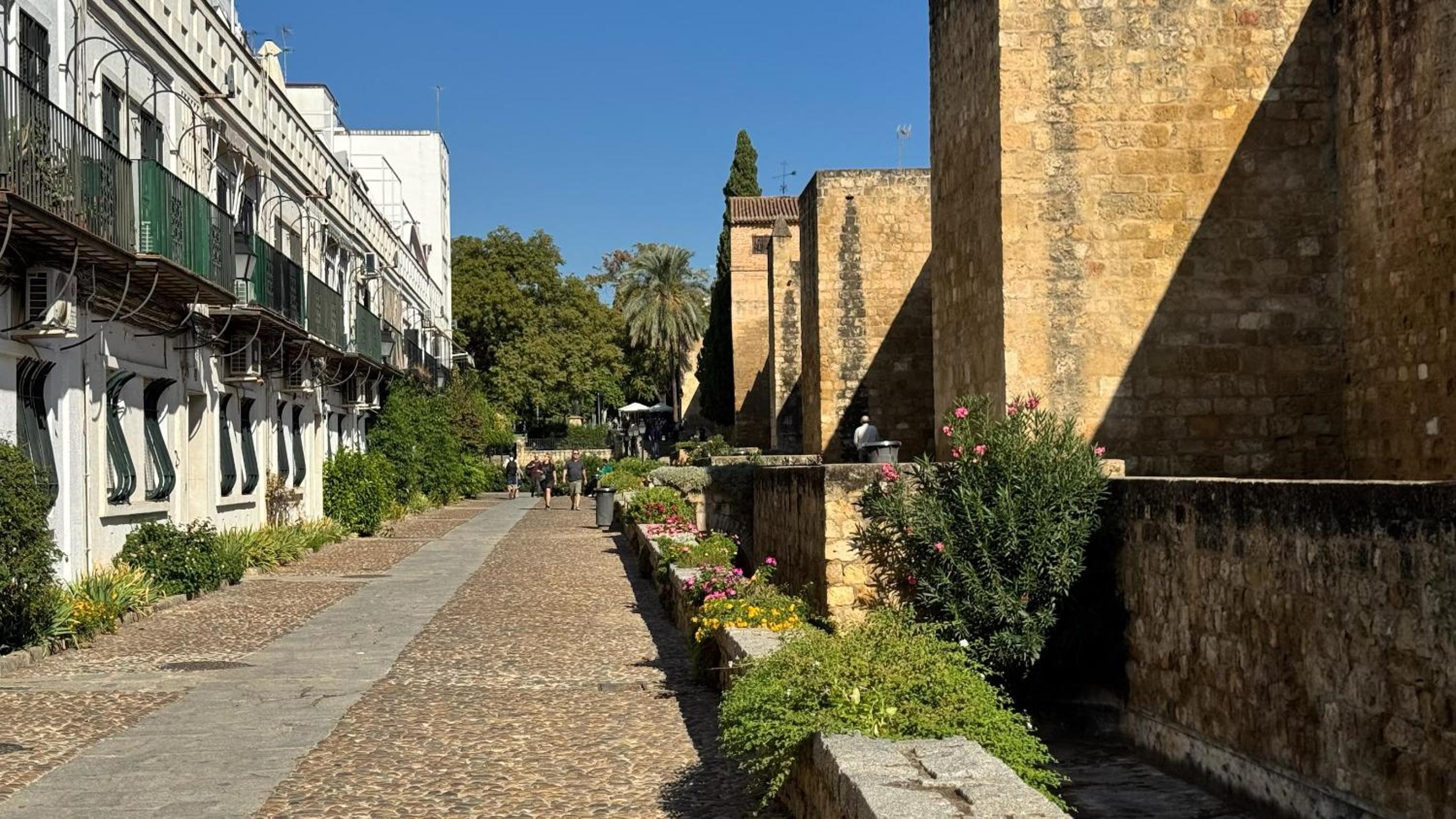 Apartamento Marquesa Valdeiglesias