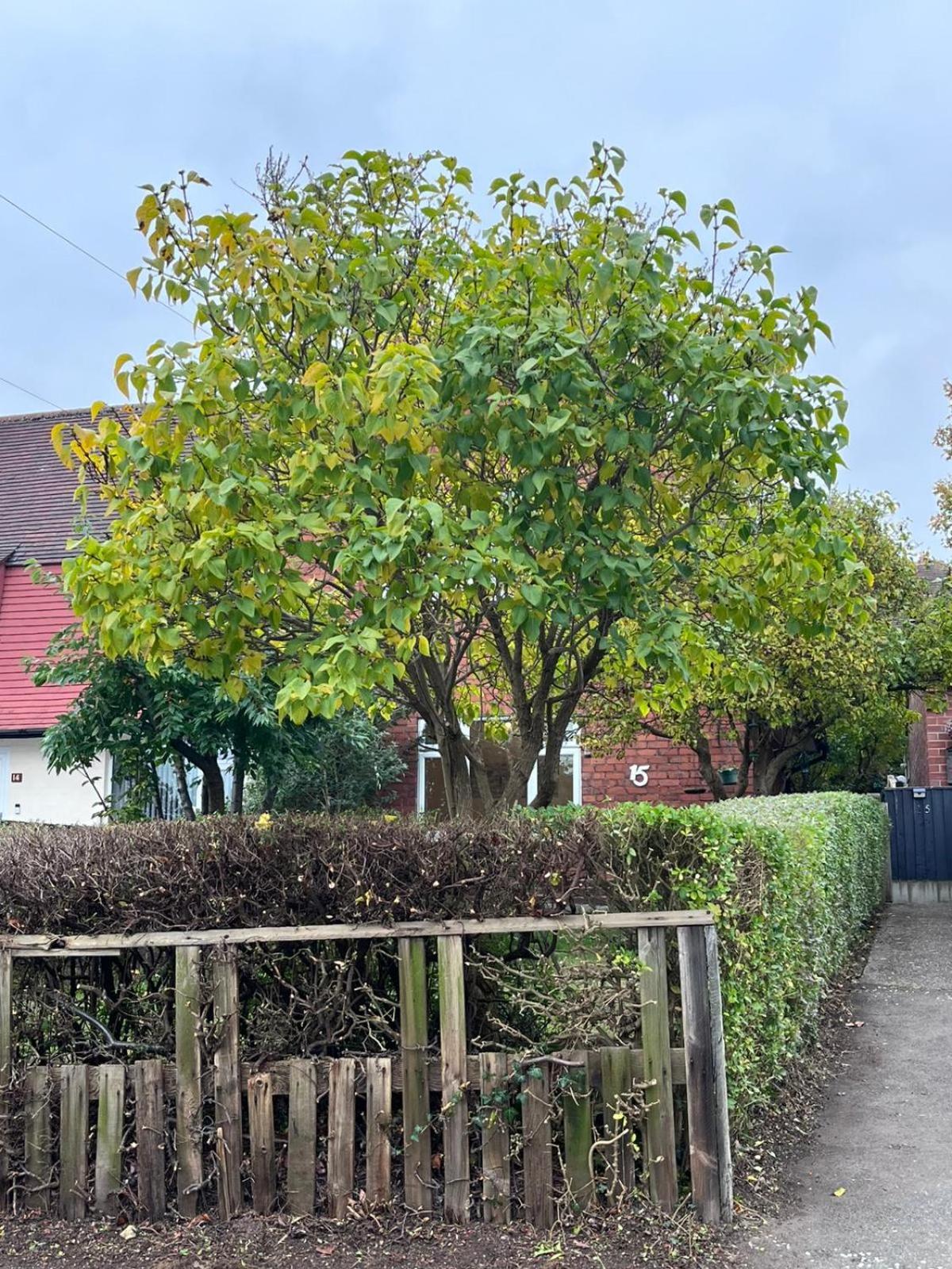 2-Bed Family House Nr Nottingham City Hospital, Arnold, Mansfield with Free WiFi