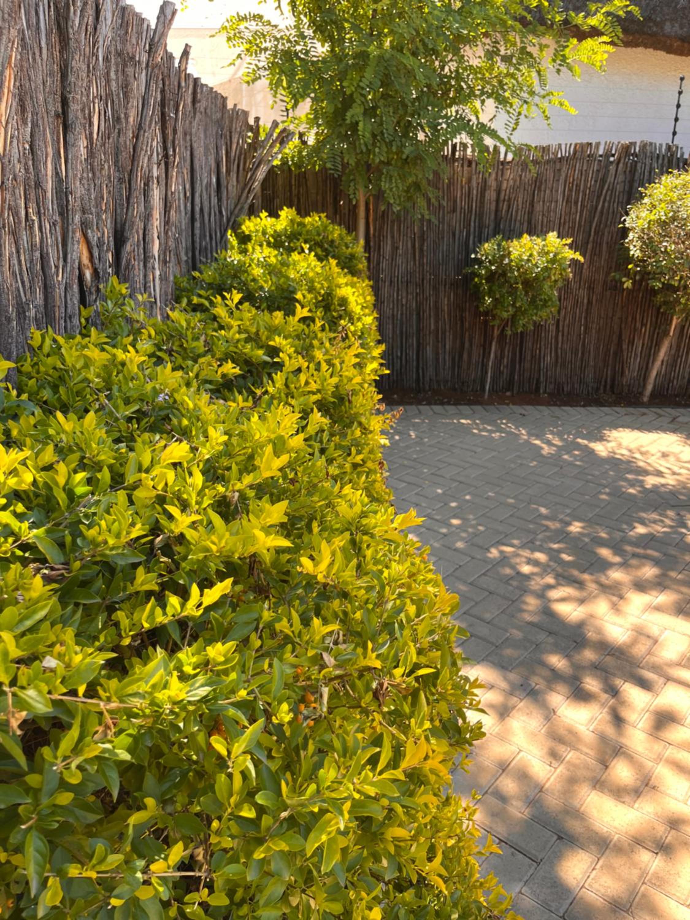 S Residence