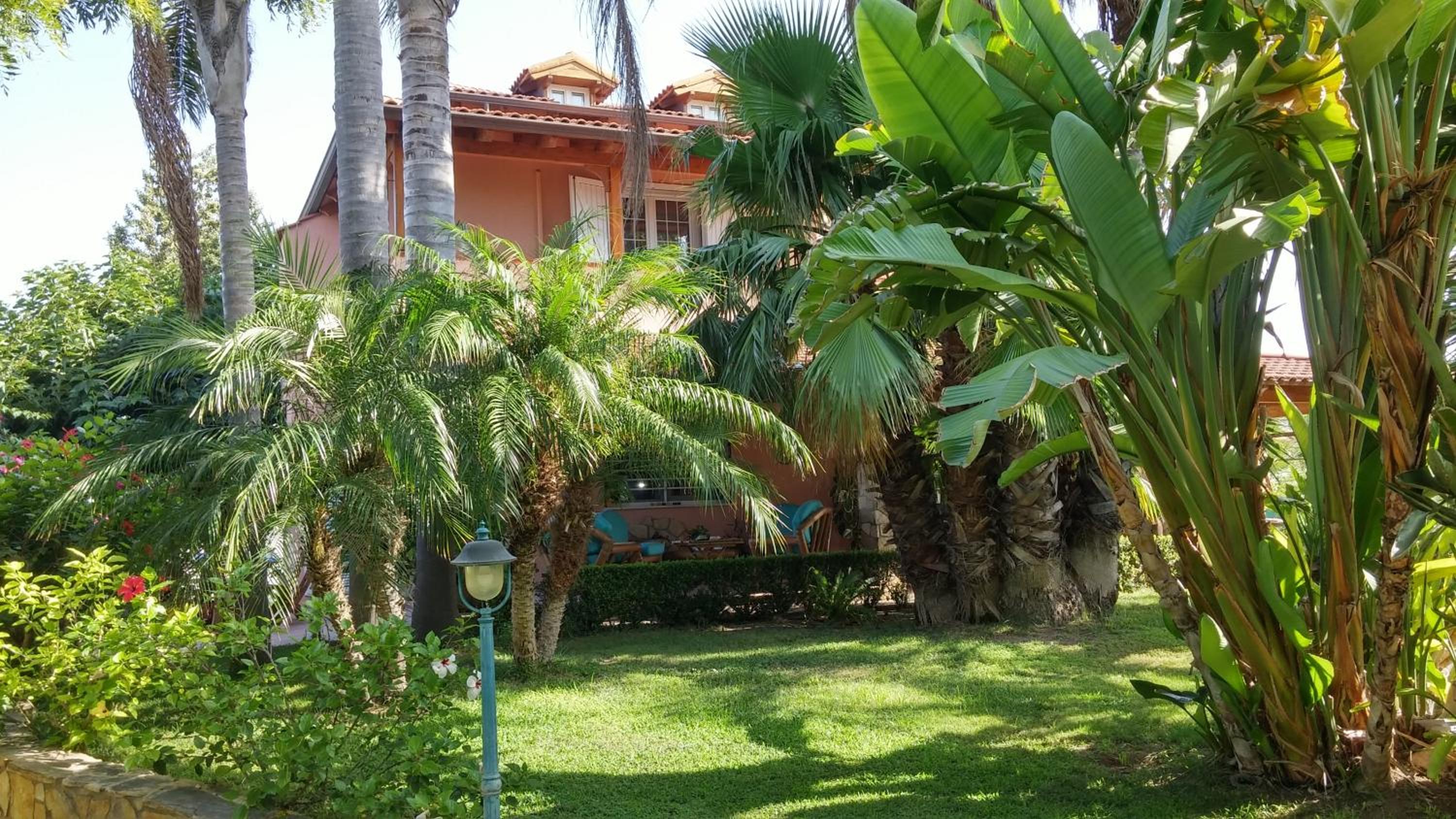Il Giardino delle Jacaranda