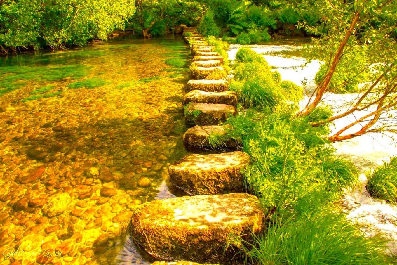 La Casa del Bosque del Agua y SPA Prexigueiro Obsequio entrada por persona a circuito termal