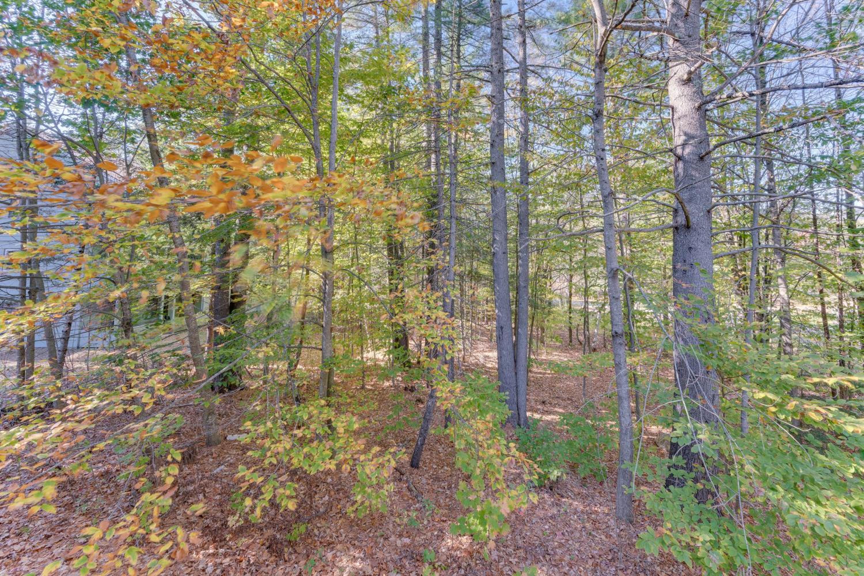 White Mtn Adventure Base! Cozy Bartlett Condo