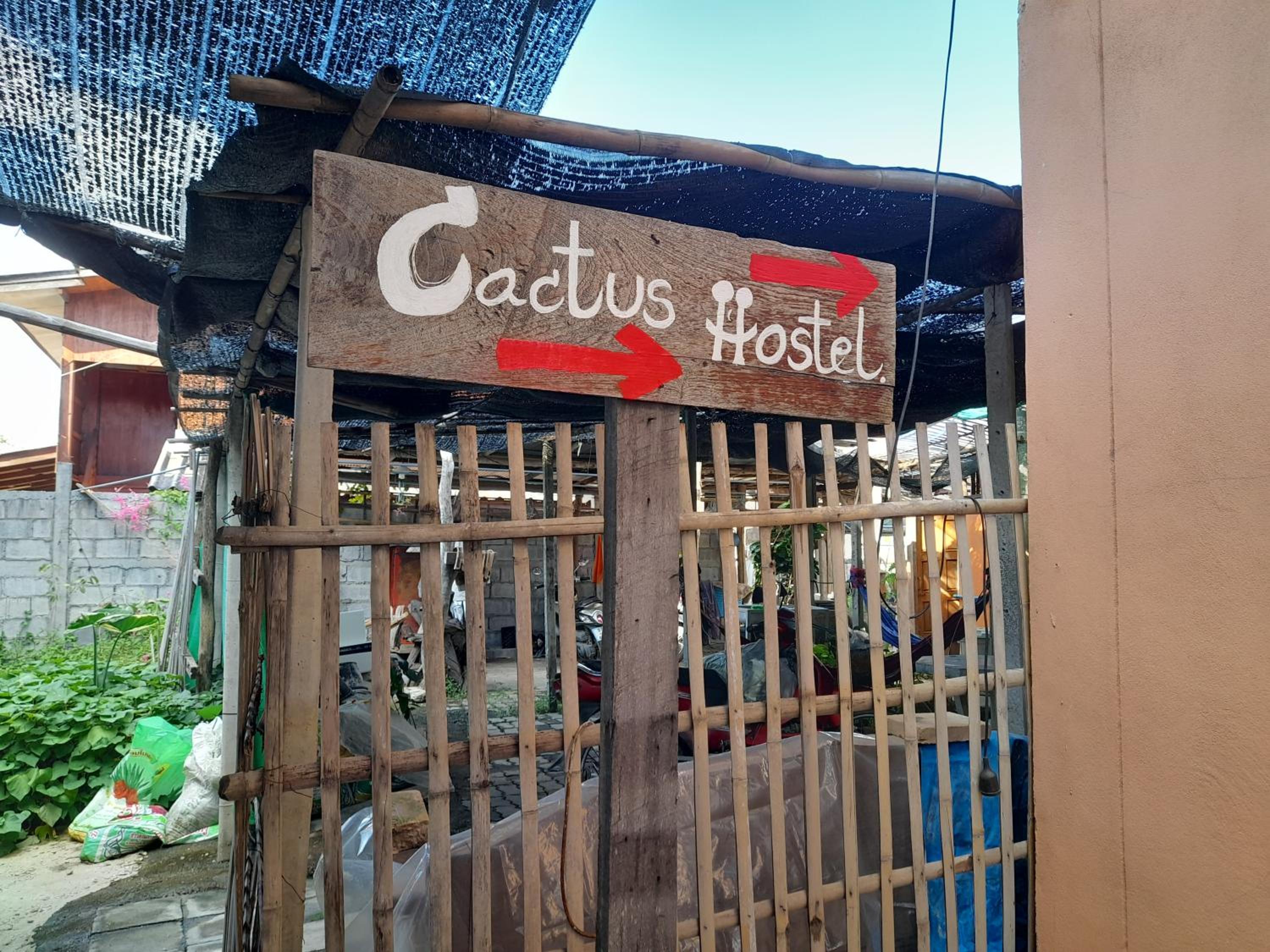 Cactus Hostel !for non smokers!, photo 11