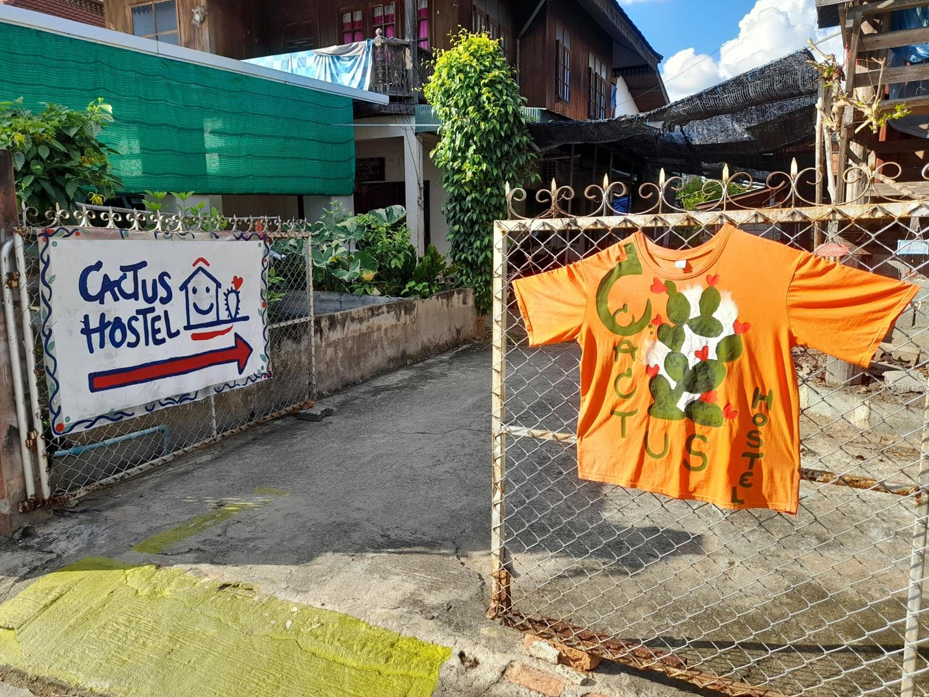 Cactus Hostel !for non smokers!, photo 5