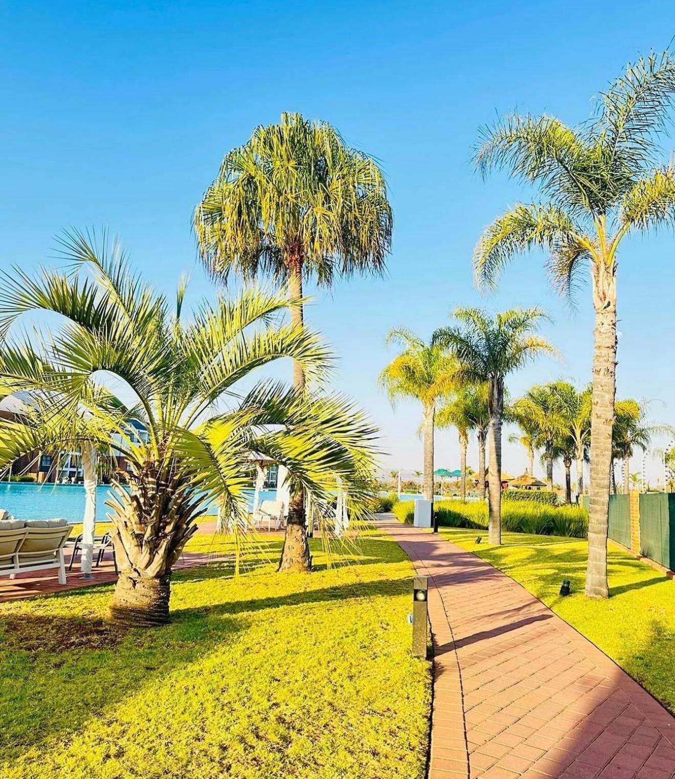Penthouse Palms At The Blyde