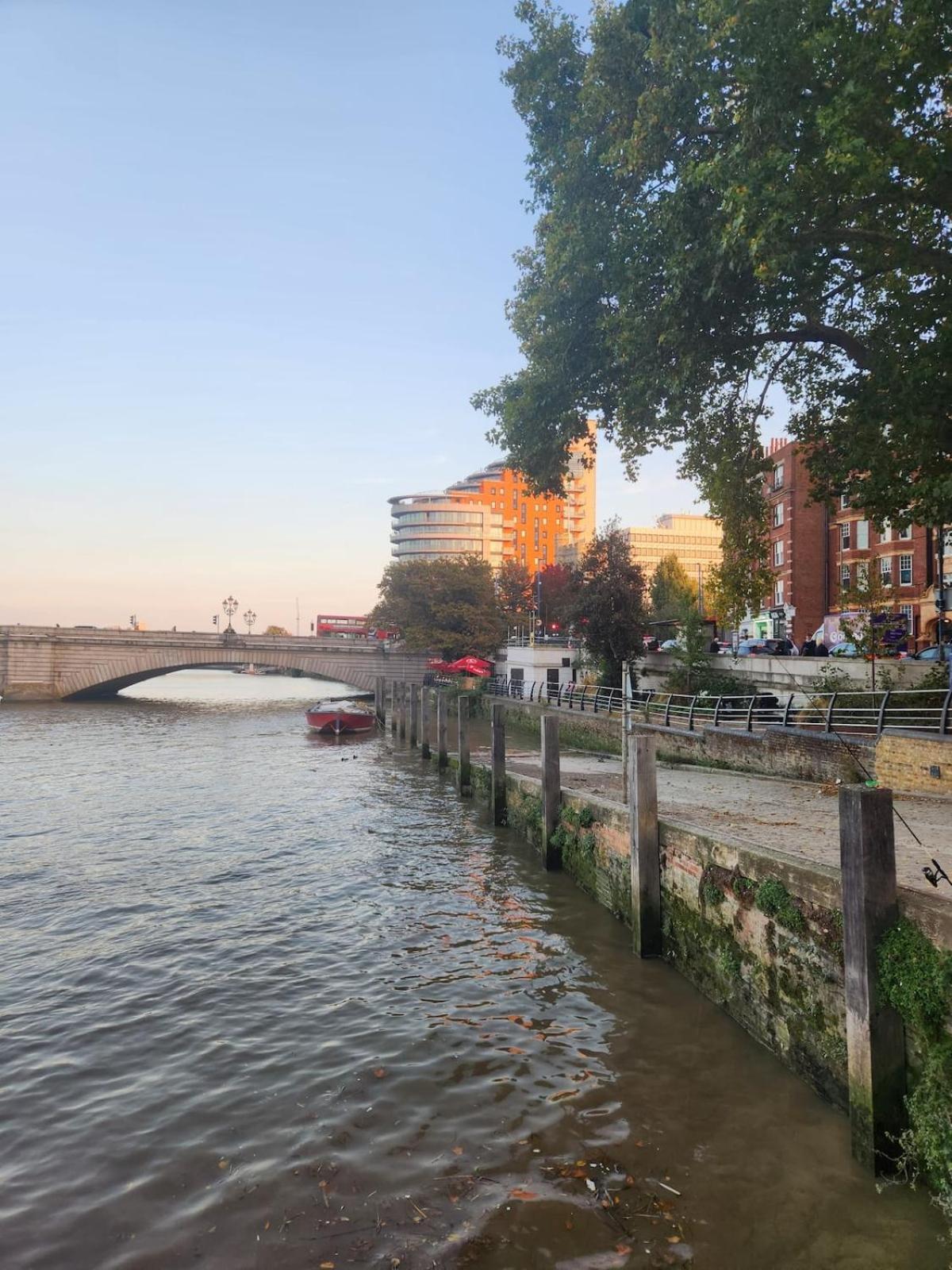 Cosy Suite with Private Access in London Putney