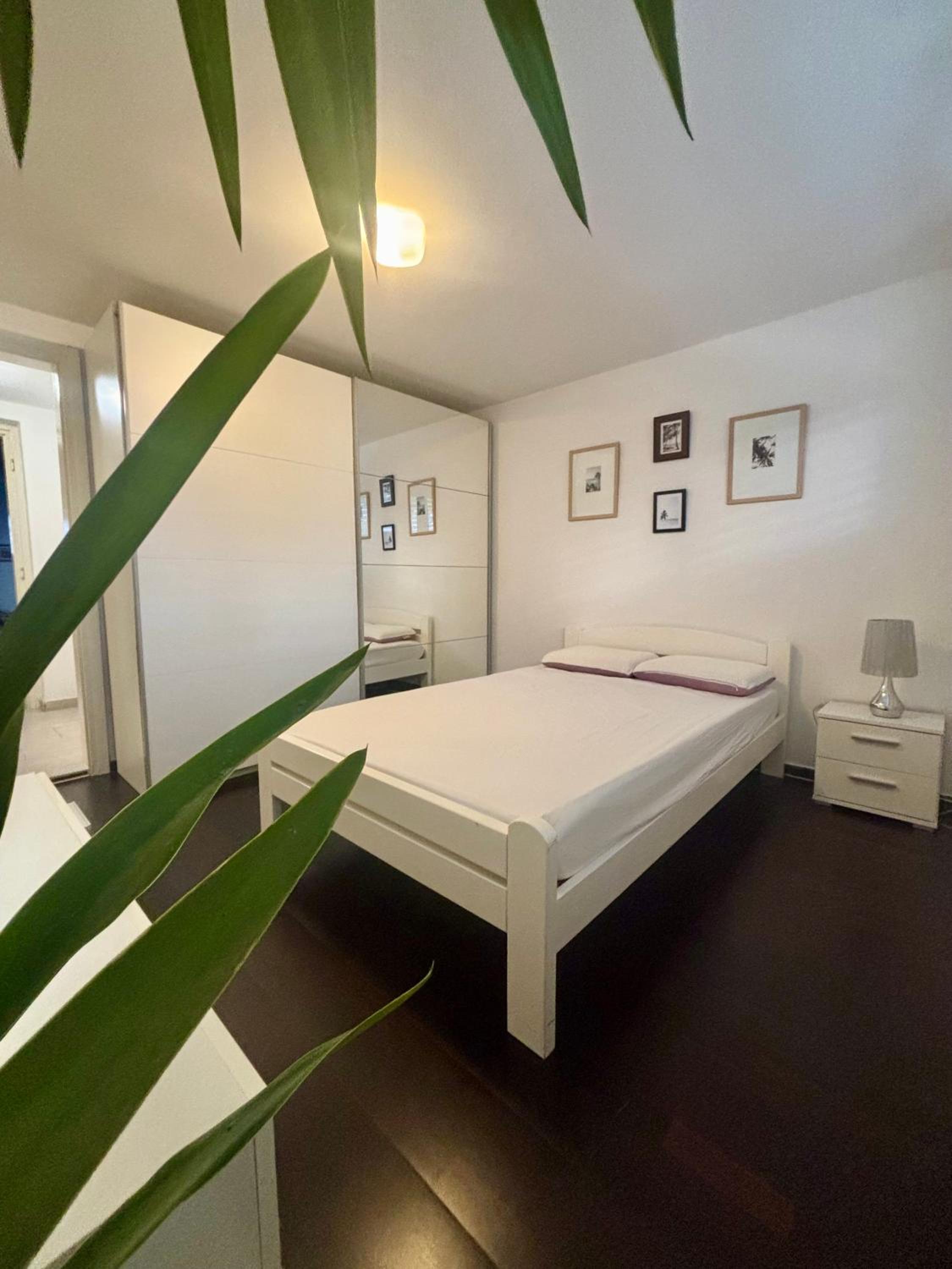 Betnava Apartment