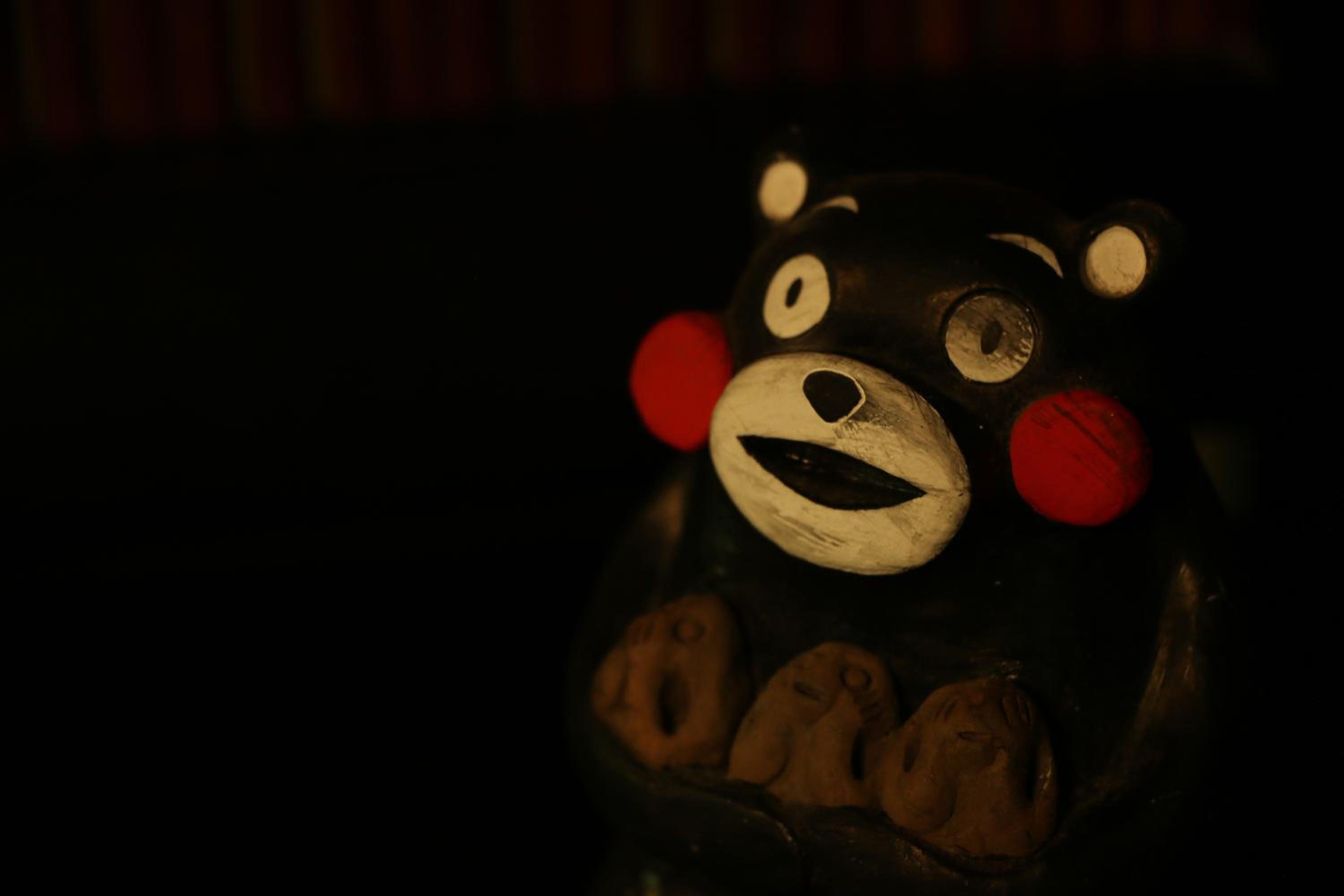 Photo 51