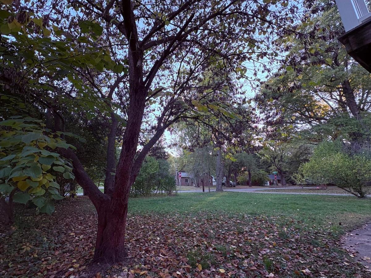 Peaceful King House - Gift for 3-night stays!