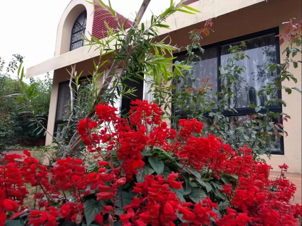 Garden Villa view 4