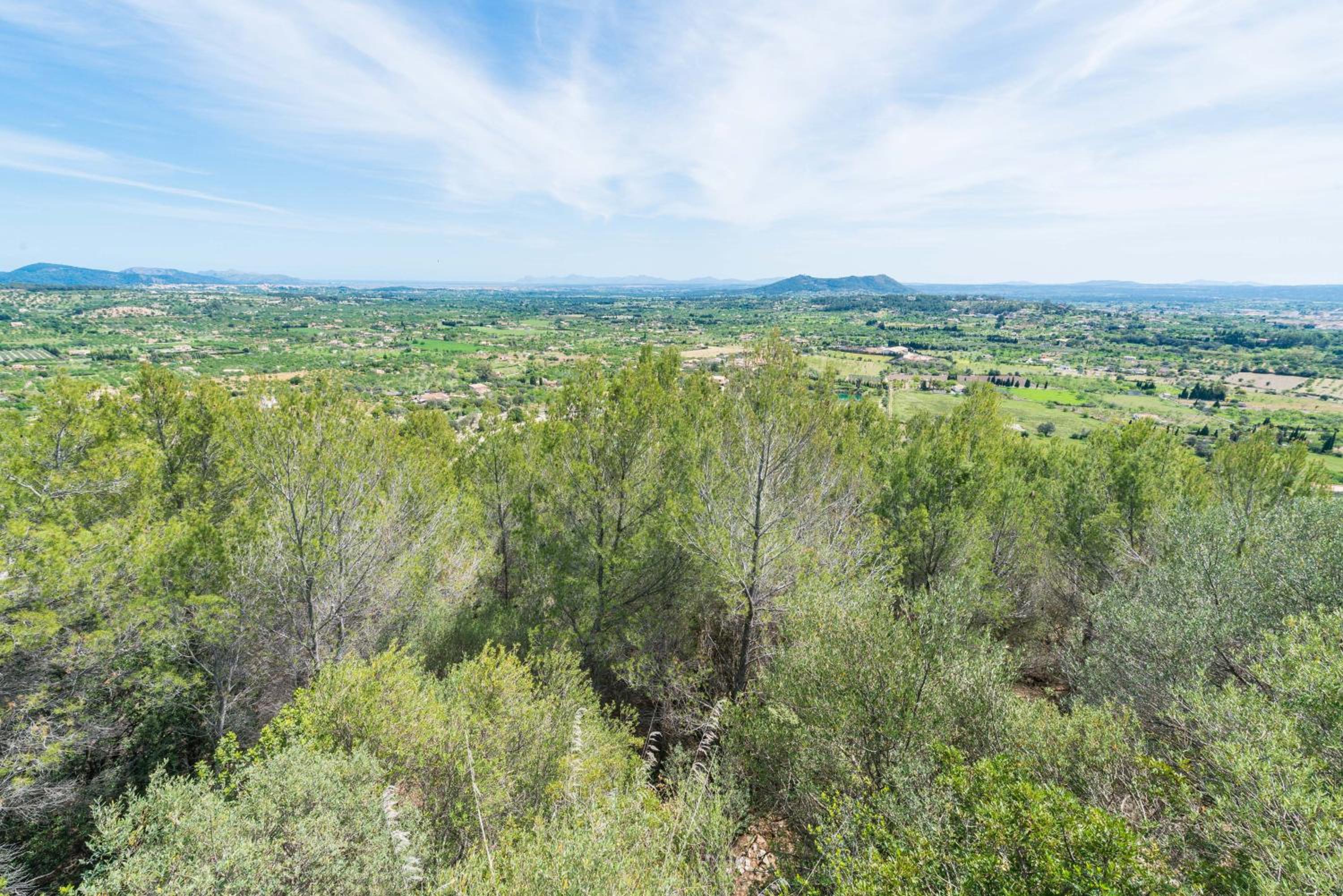 Sa Garriga De Can Barratot