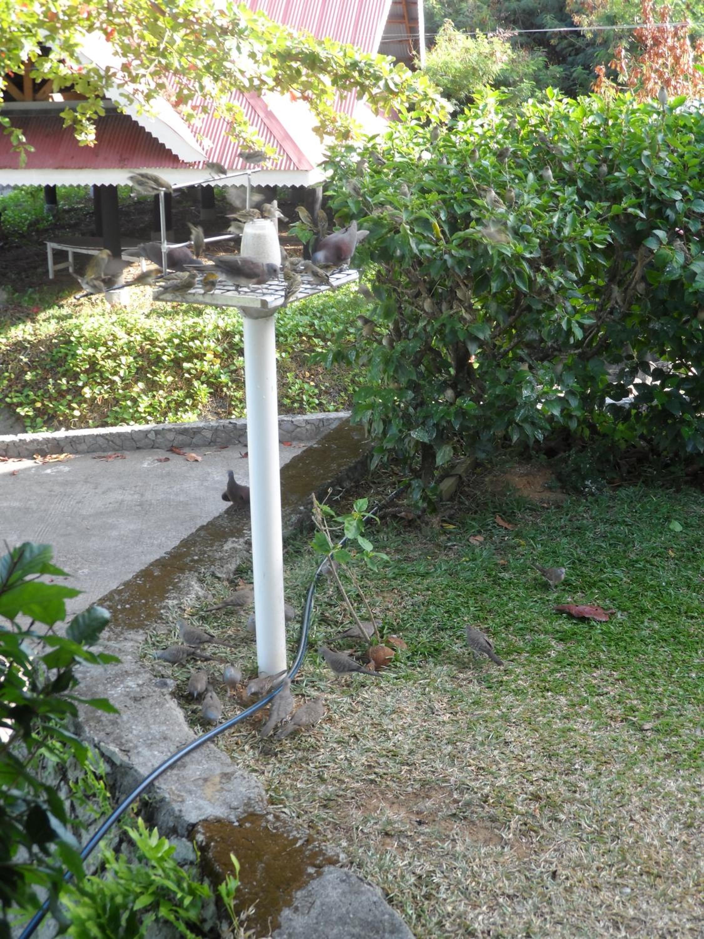 Photo 22