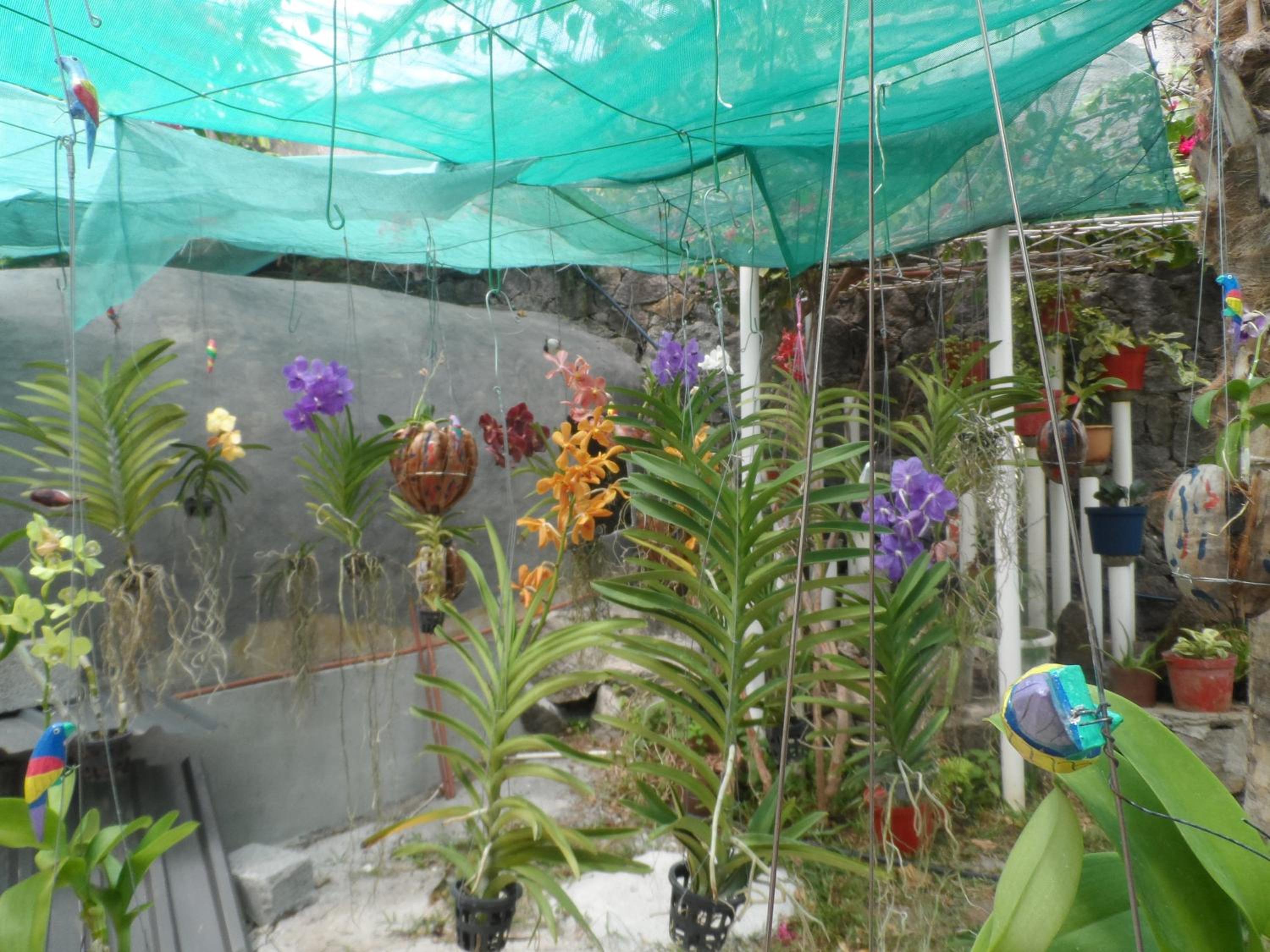 Photo 23