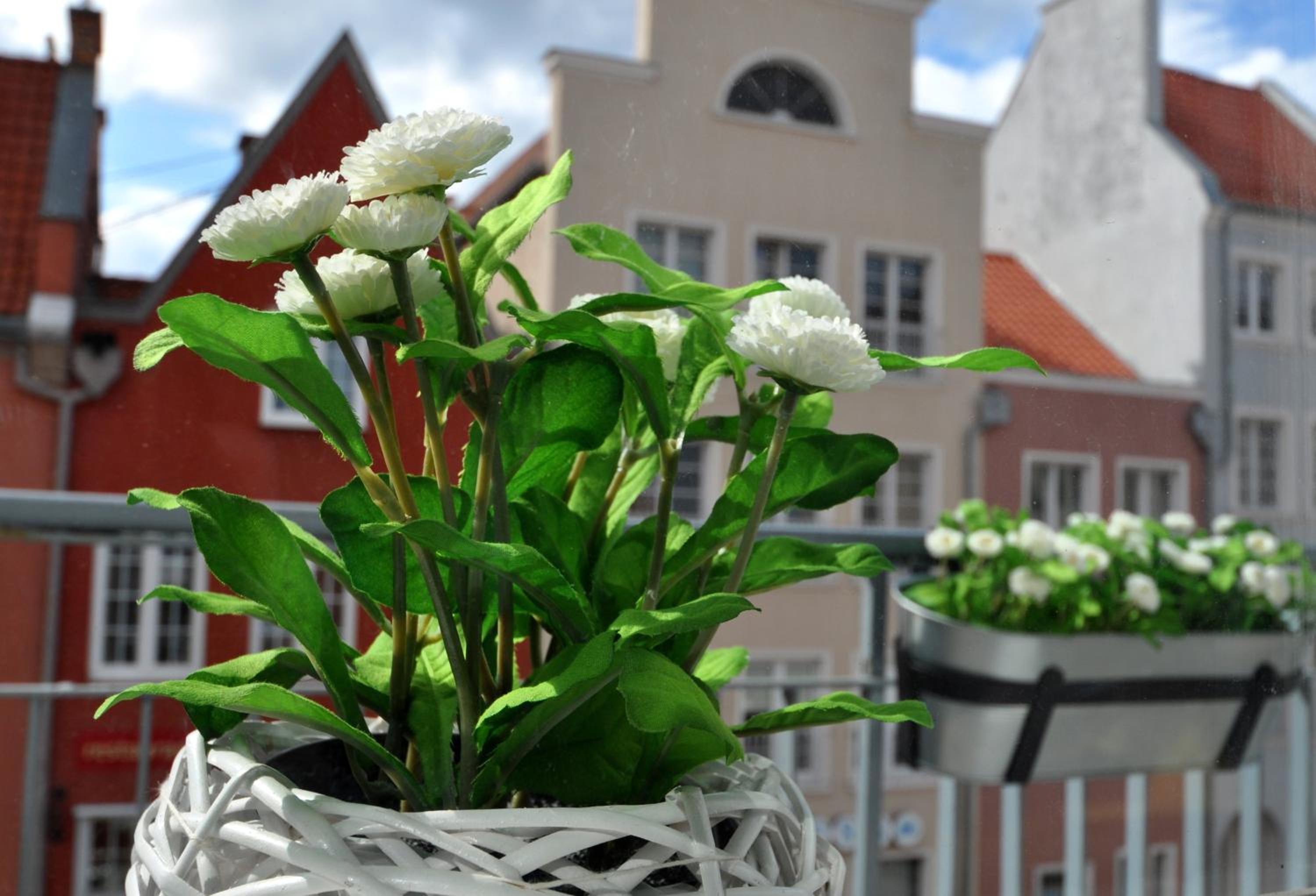 Gdansk Old Town River View view 2