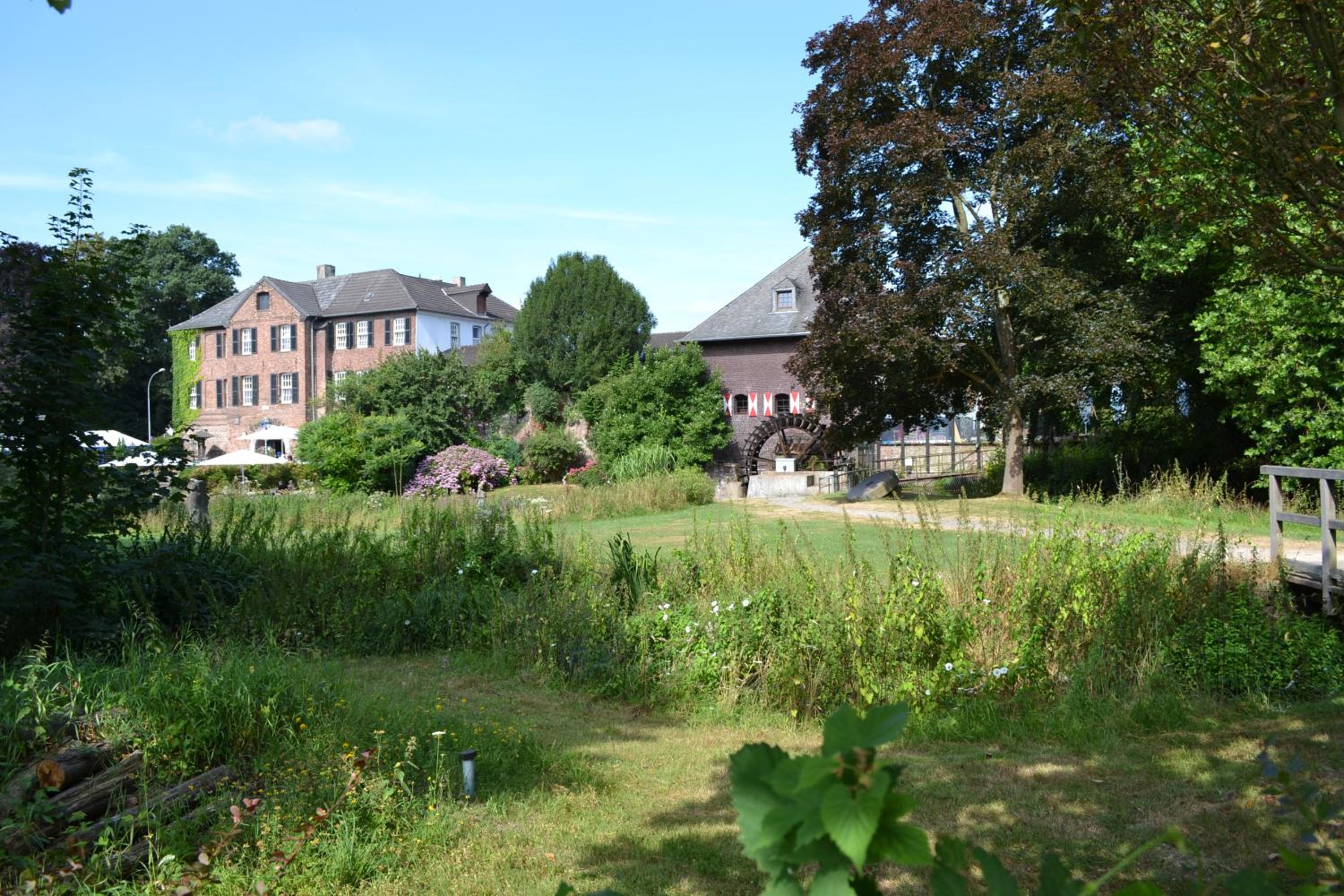 Photo 21