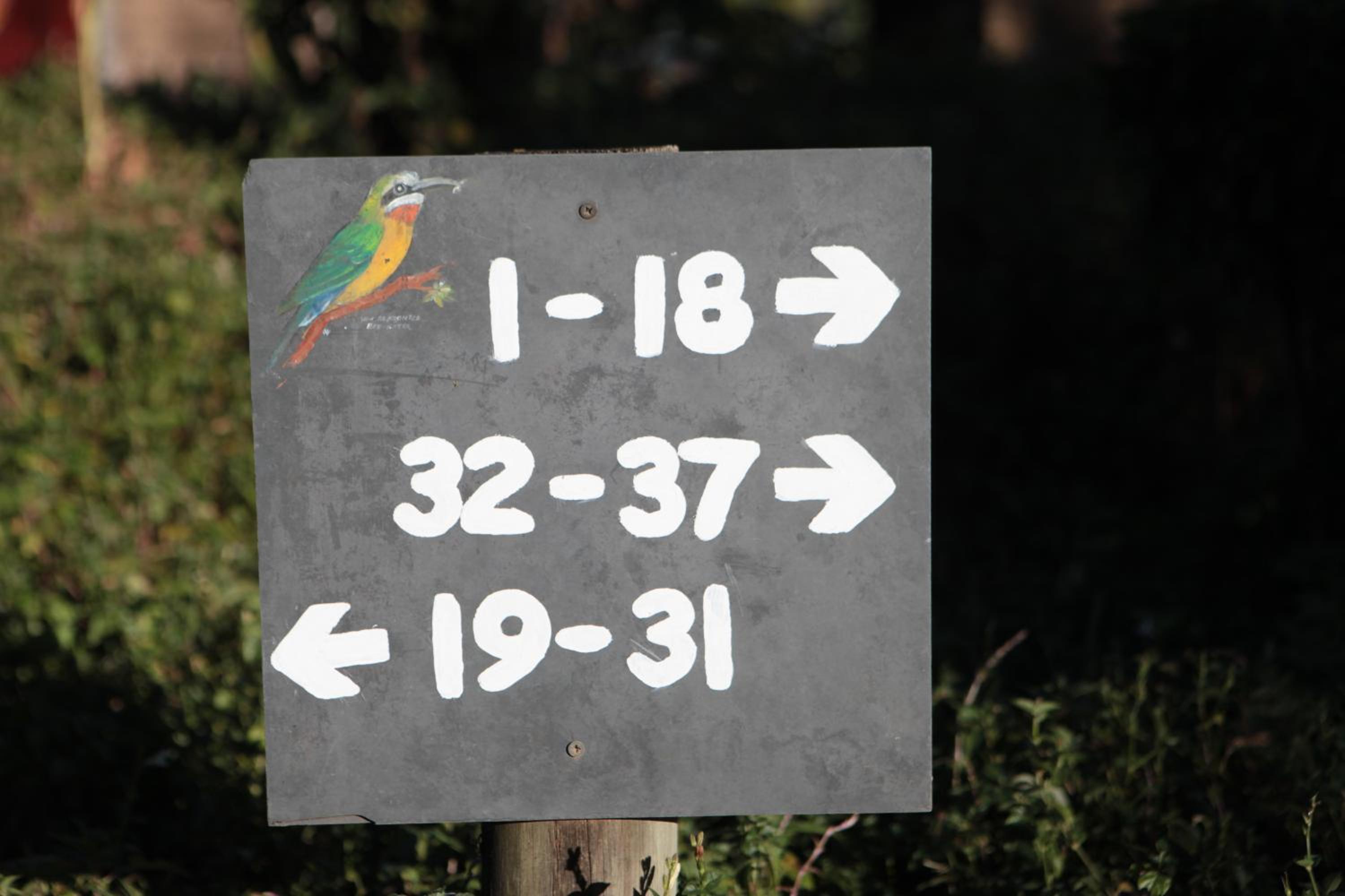 Hazyview Vacations - Hippo Hollow Country Estate - Property Image 4