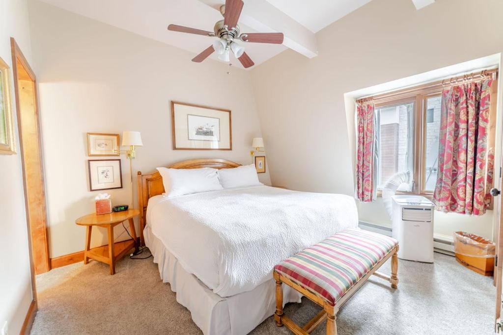 Aspen Downtown 2BR Ski Condo with Fireplace - CD 17 condo
