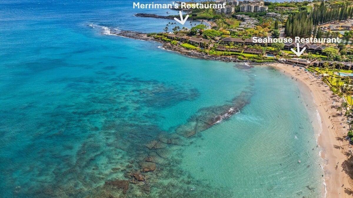 Napili Point C22 · NP C22 Oceanfront Views from 2BD West Maui Co