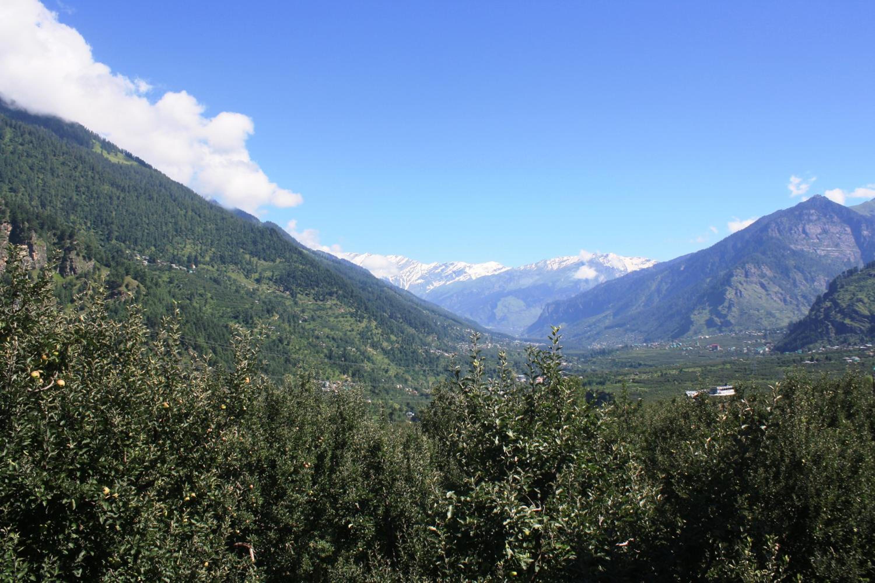 Photo 13