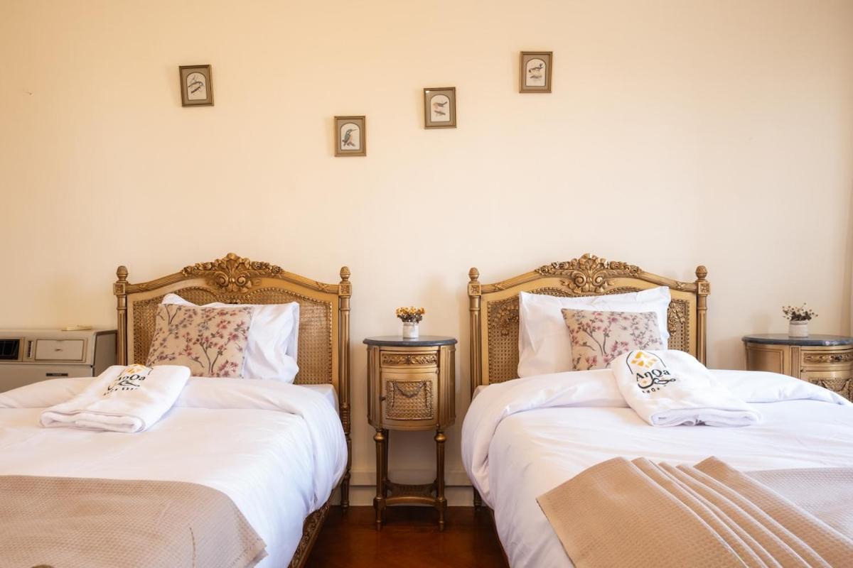 The Royal Tower View Elegant 3BR in Zamalek